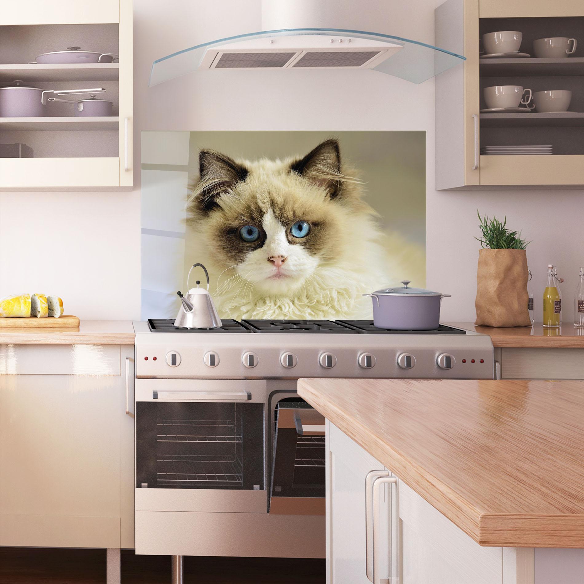 Panou Sticla Bucatarie Interesting Blue Eyes Cat mockup 1