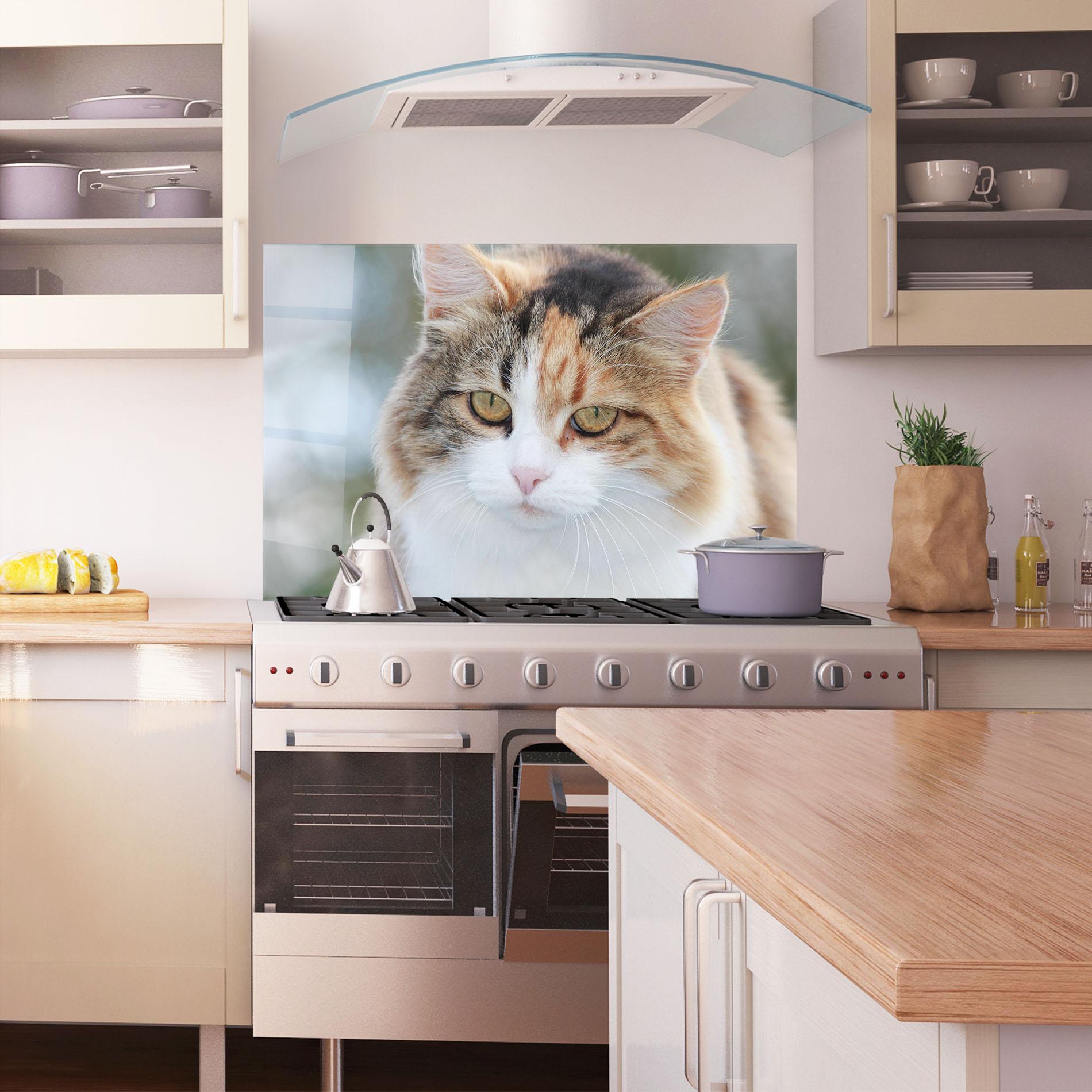 Panou Sticla Bucatarie Orange Brown Cat mockup 1
