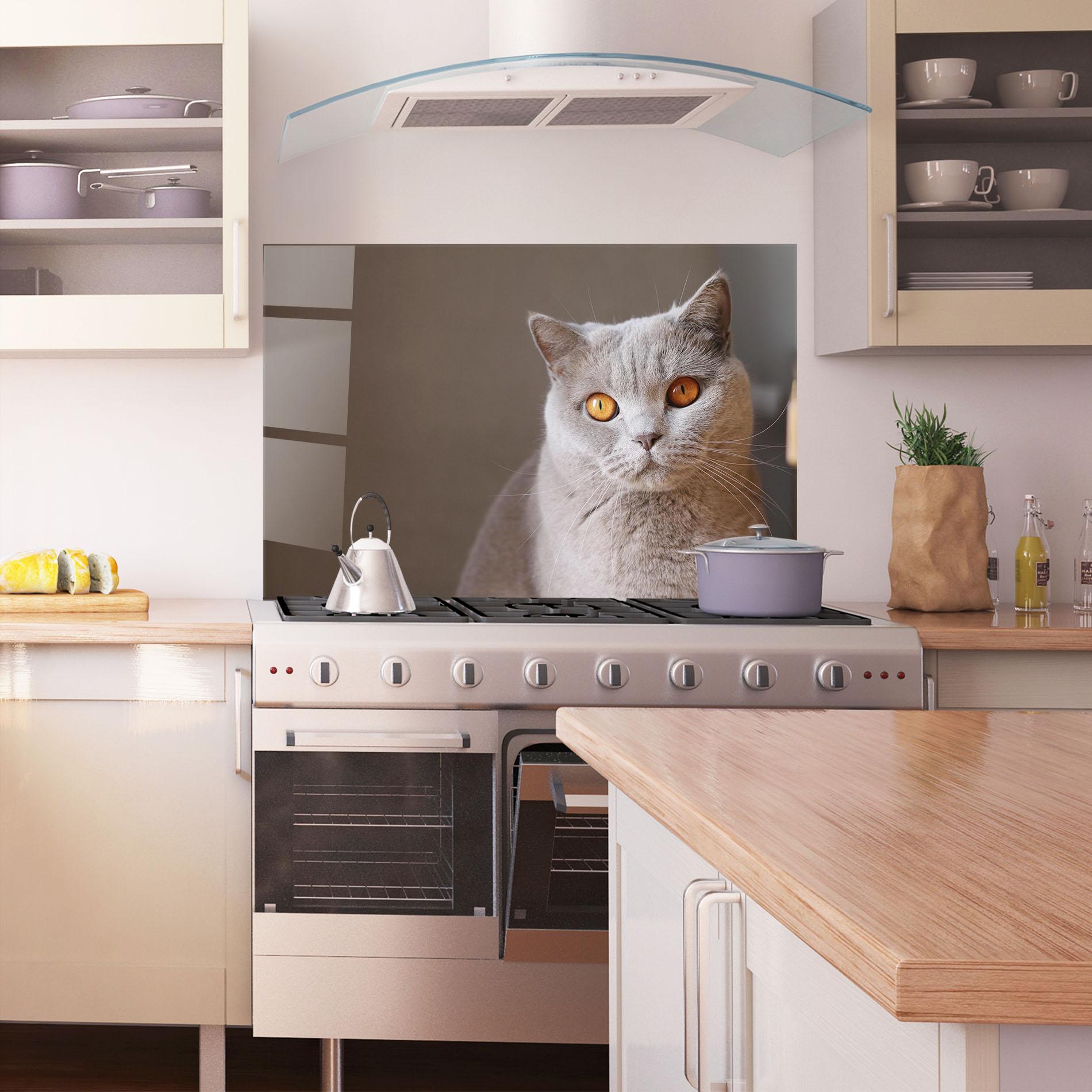 Panou Sticla Bucatarie Orange Eyes Cat mockup 1