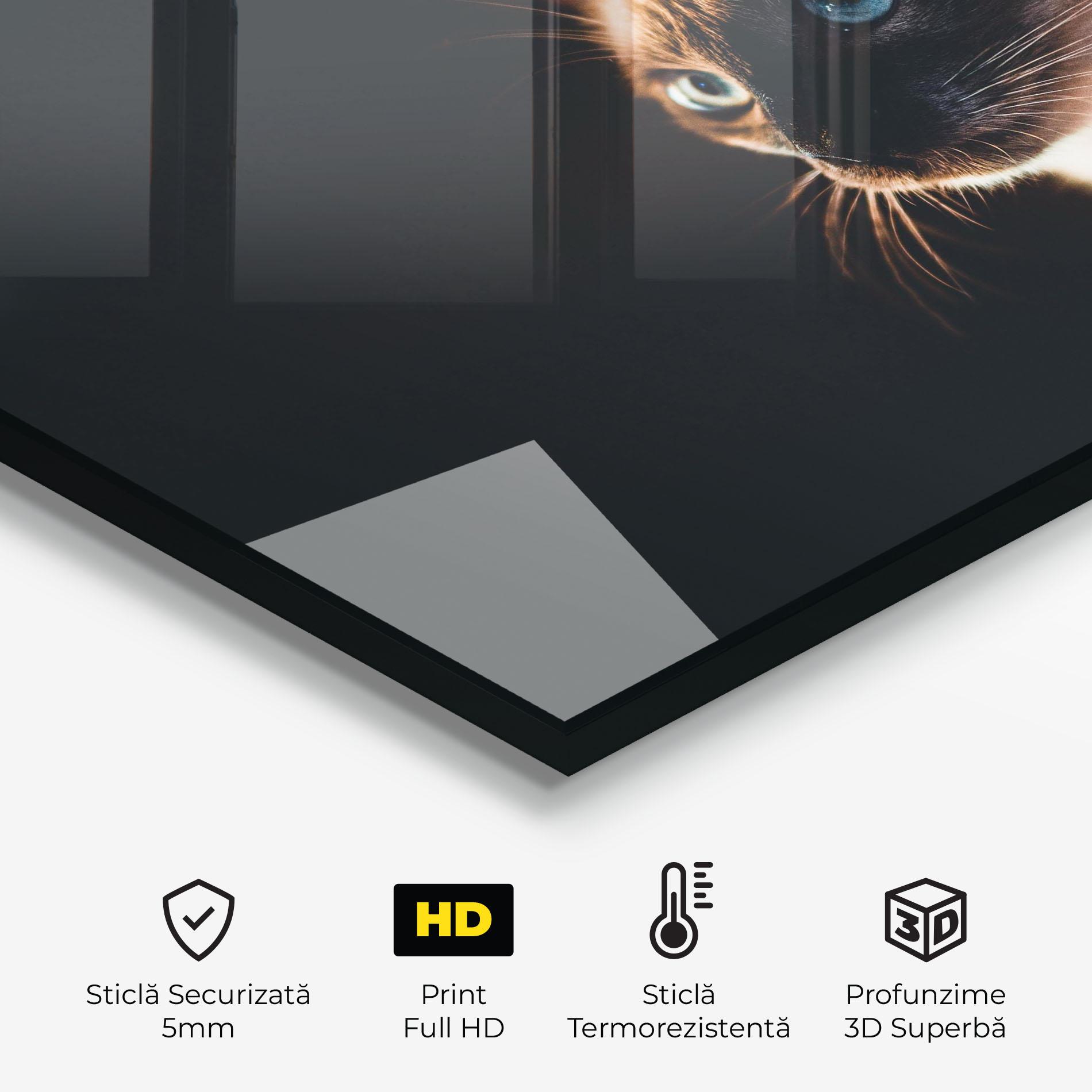 Panou Sticla Bucatarie Blue Eyes Cat In Dark mockup 2