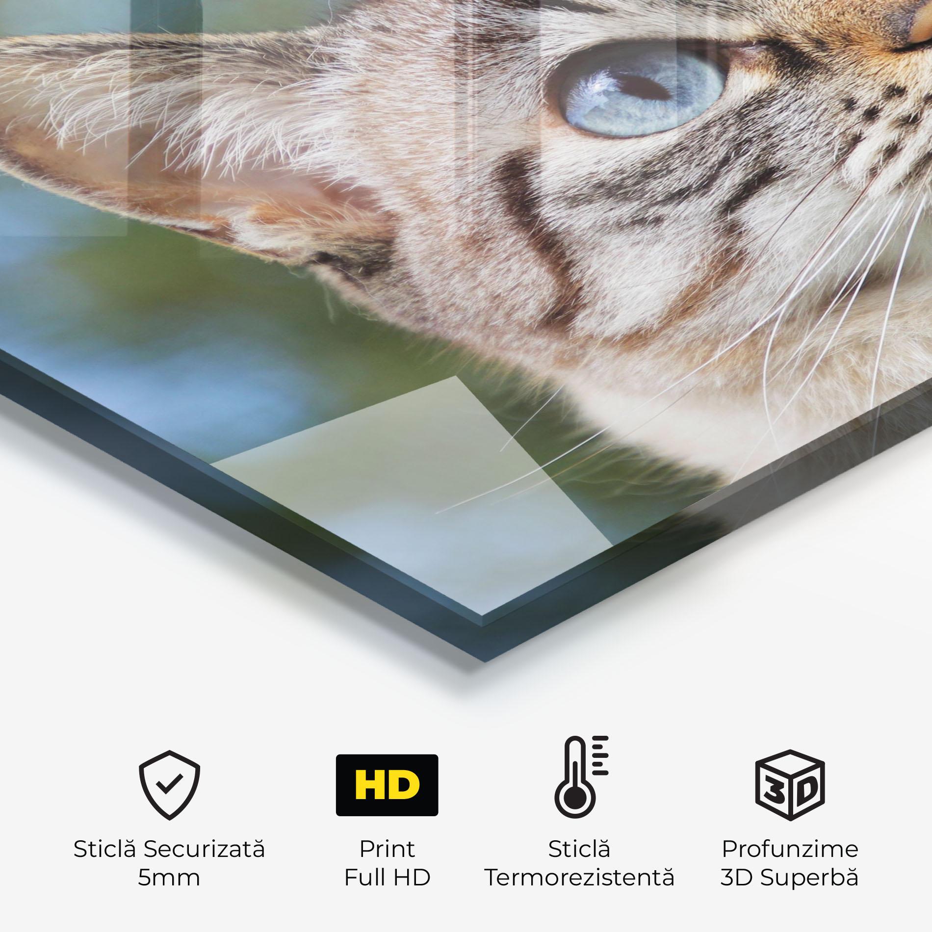 Panou Sticla Bucatarie Blue Eyes Cutie mockup 2