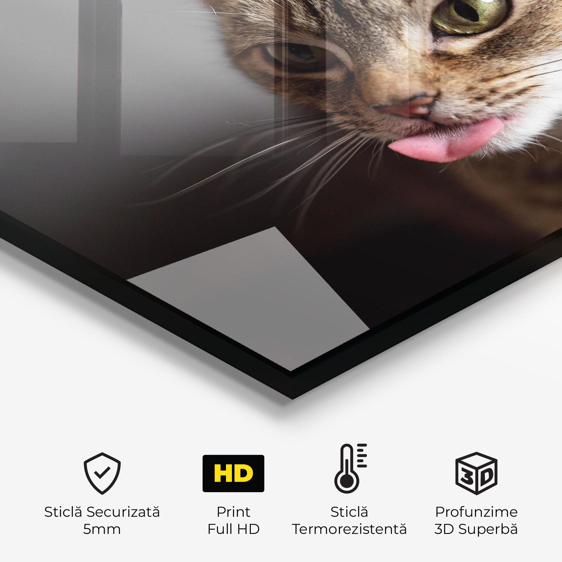 Panou Sticla Bucatarie Brown Green Eyes Cat mockup 2