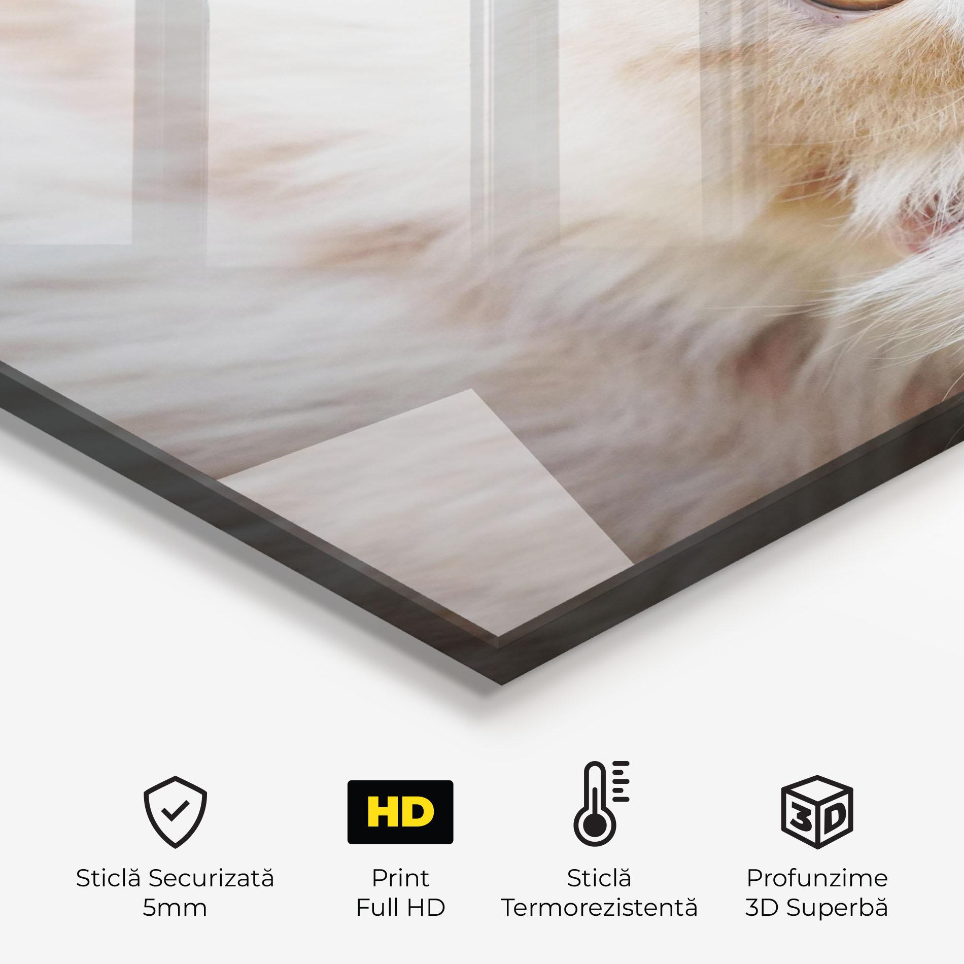 Panou Sticla Bucatarie Close Up Yellow Eyes Cat mockup 2