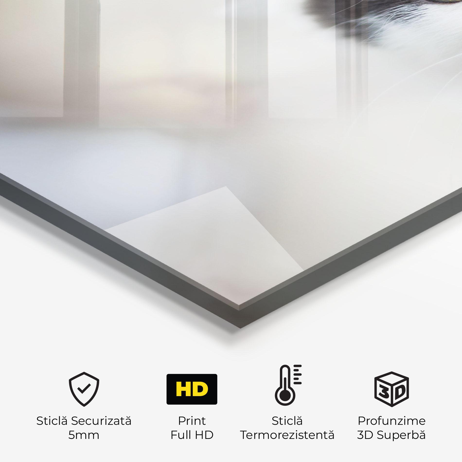 Panou Sticla Bucatarie Cutie Cat mockup 2