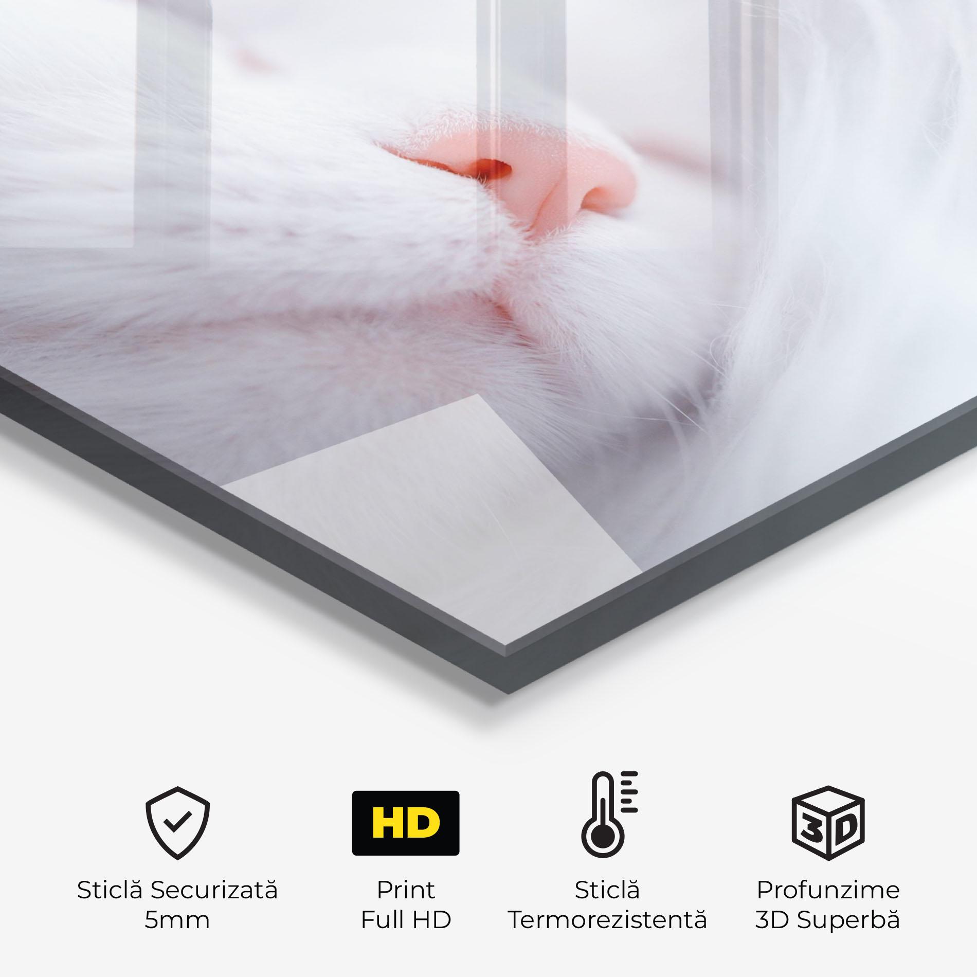 Panou Sticla Bucatarie Dreamy White Cat mockup 2