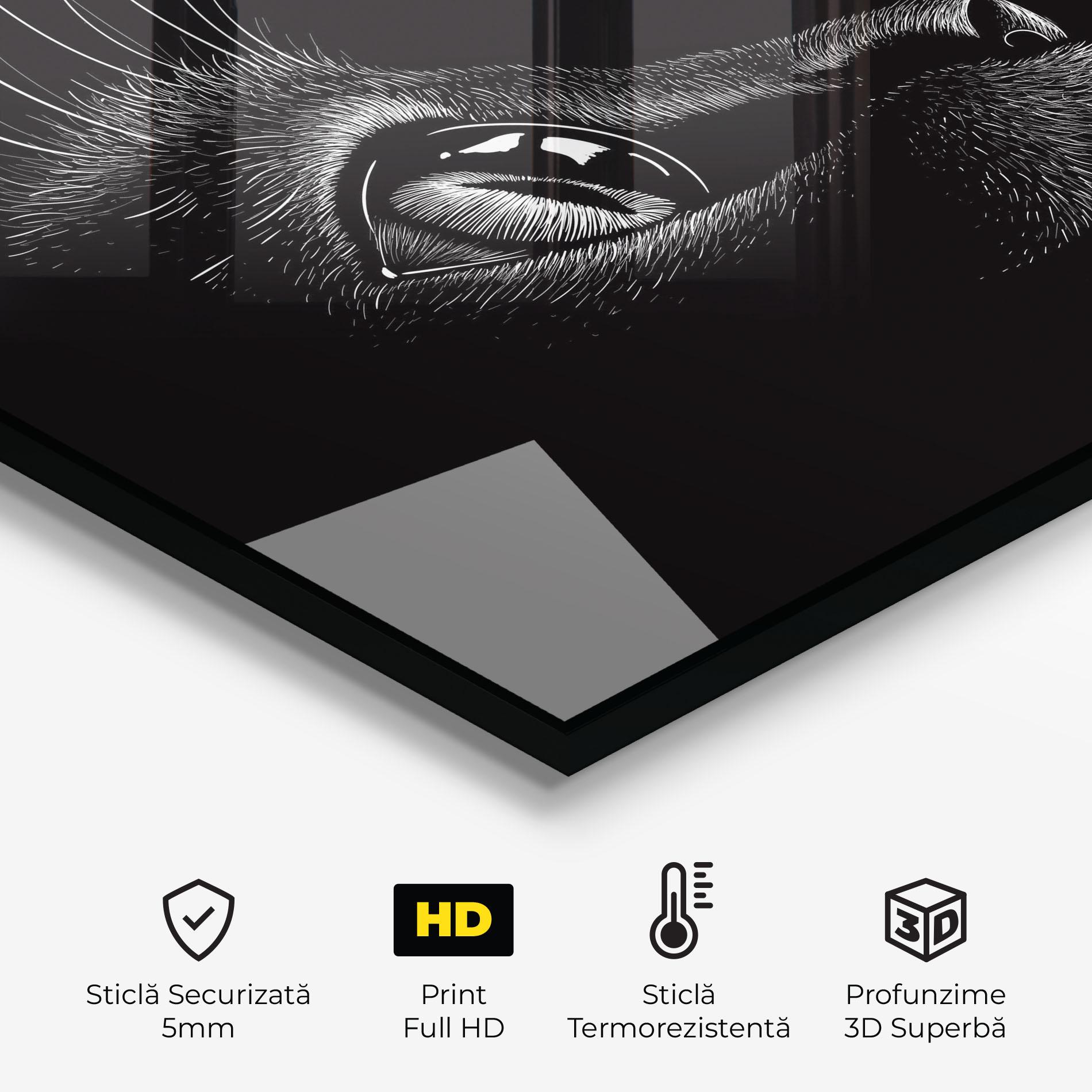 Panou Sticla Bucatarie Glass Eye Cat mockup 2