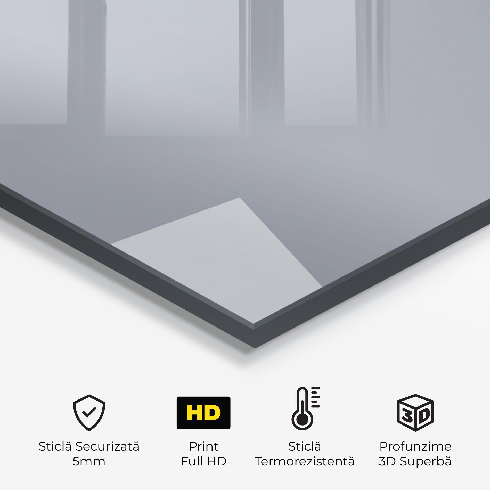 Panou Sticla Bucatarie Gray Kitty mockup 2