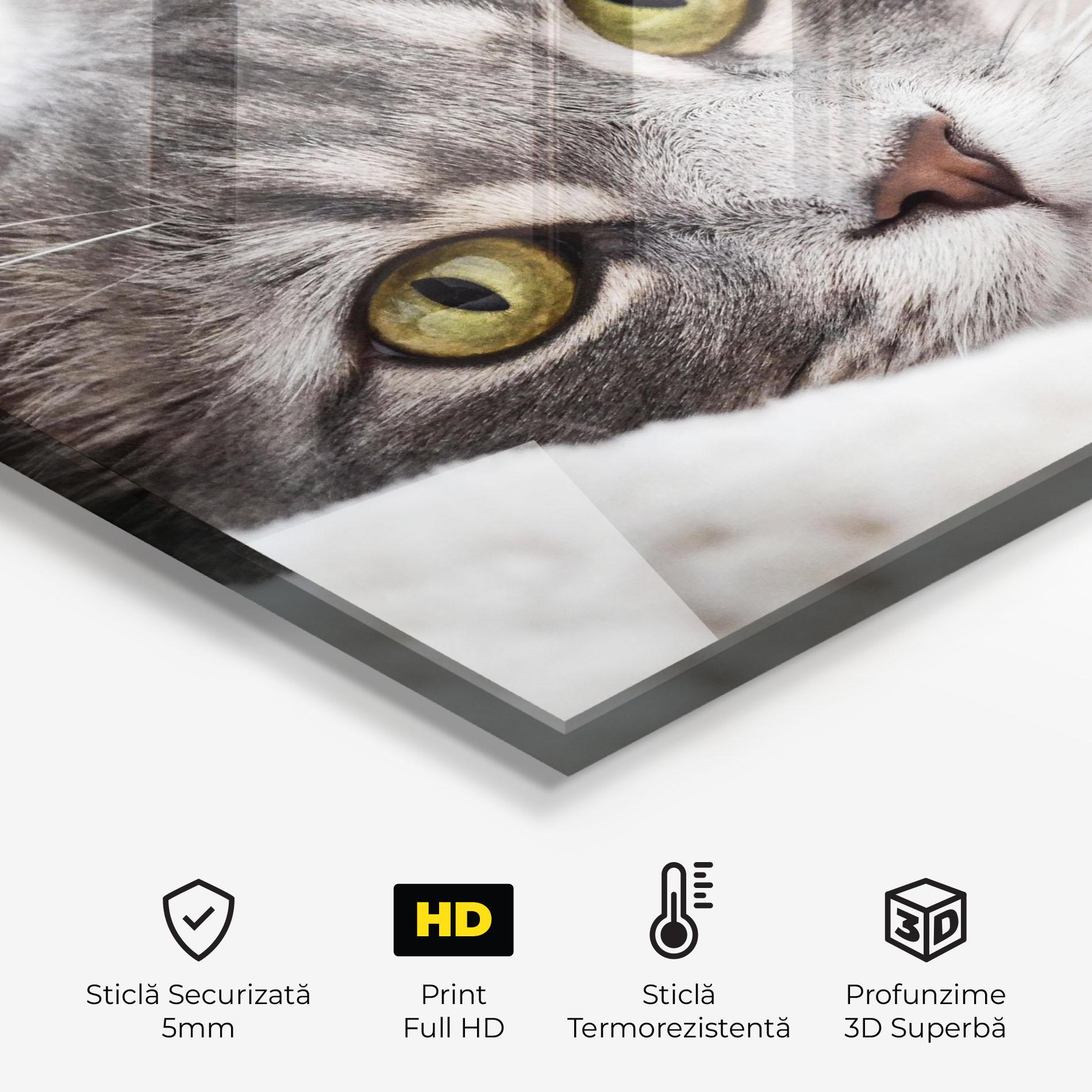 Panou Sticla Bucatarie Grey Fluffy Cat mockup 2