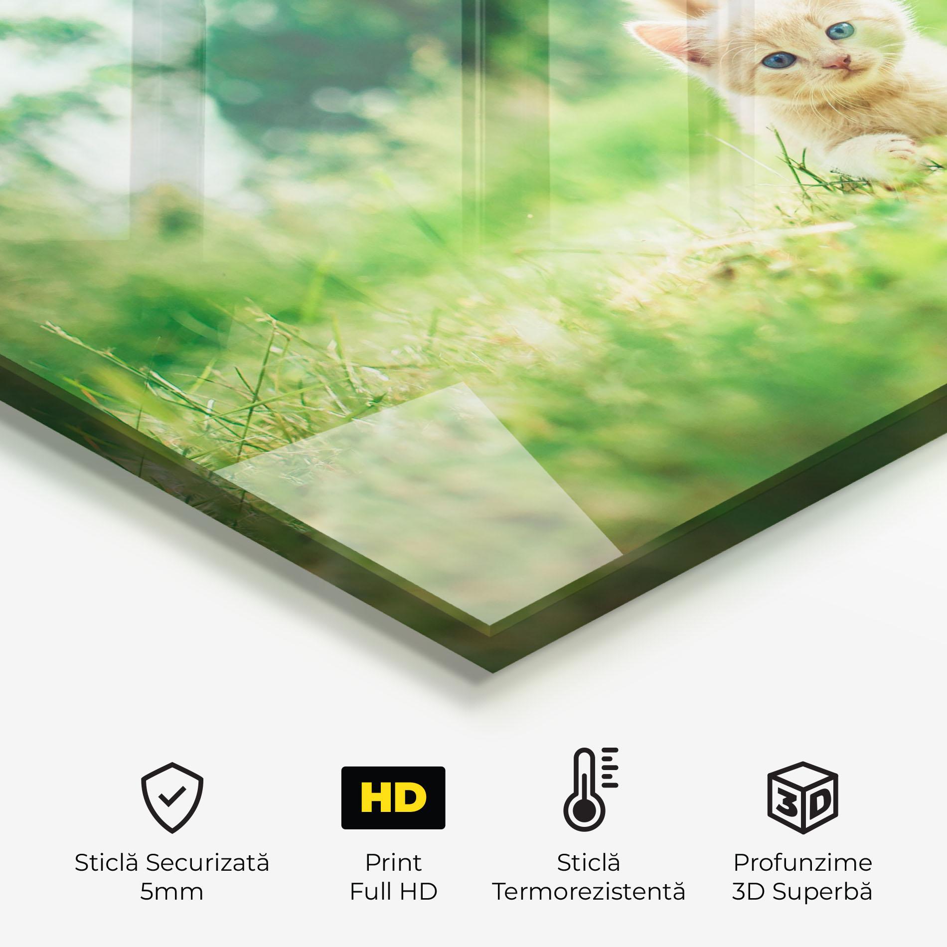 Panou Sticla Bucatarie Little Cute Cat mockup 2