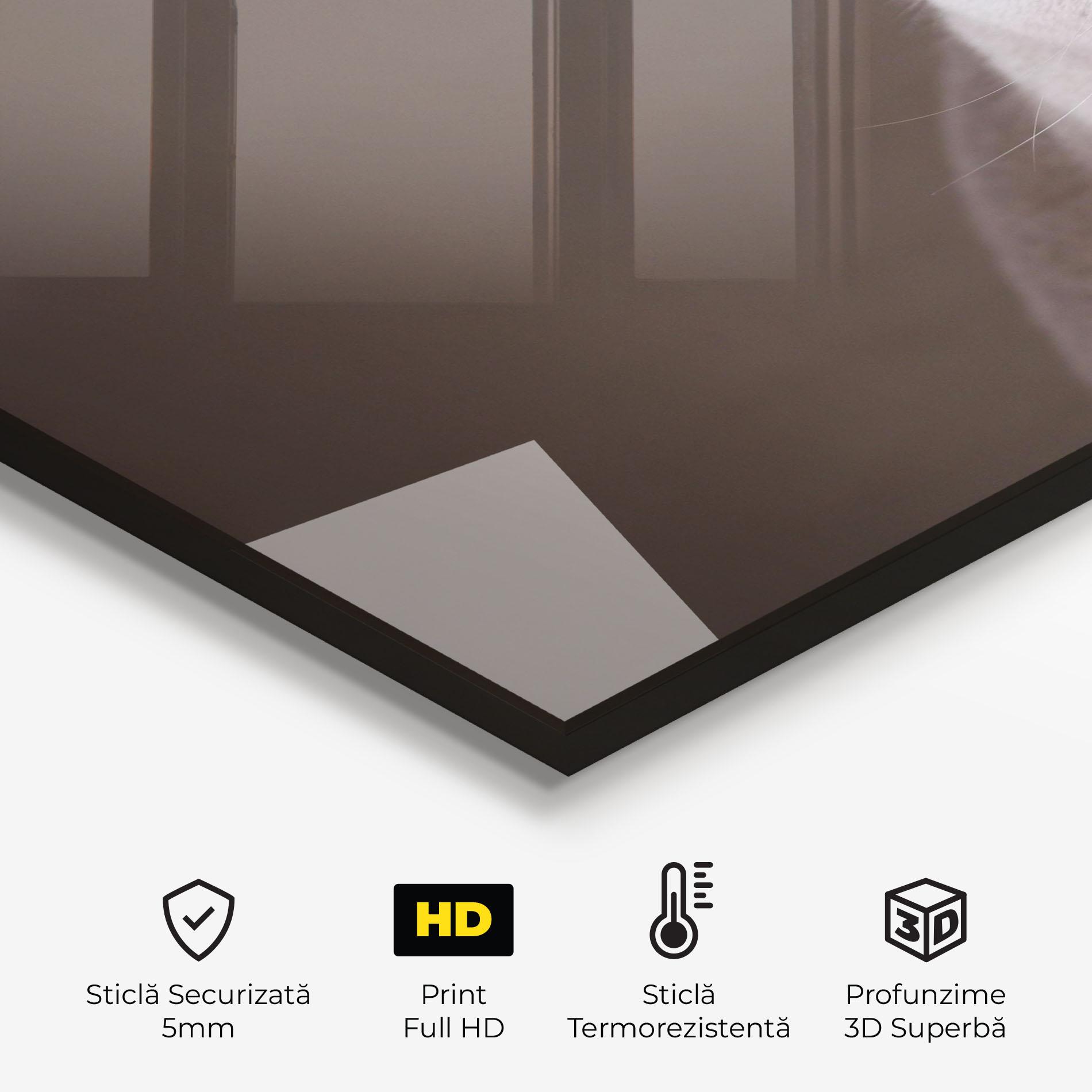 Panou Sticla Bucatarie Orange Eyes Cat mockup 2