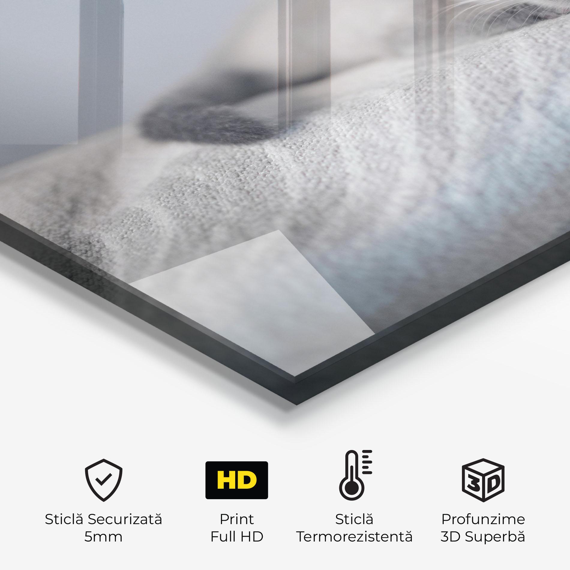 Panou Sticla Bucatarie Sleepy Grey Cat mockup 2