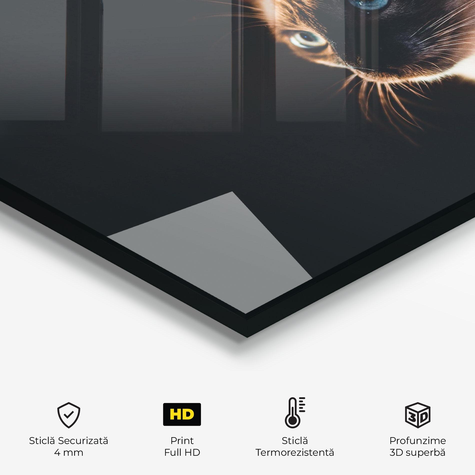 Panou Sticla Bucatarie Blue Eyes Cat In Dark mockup 2