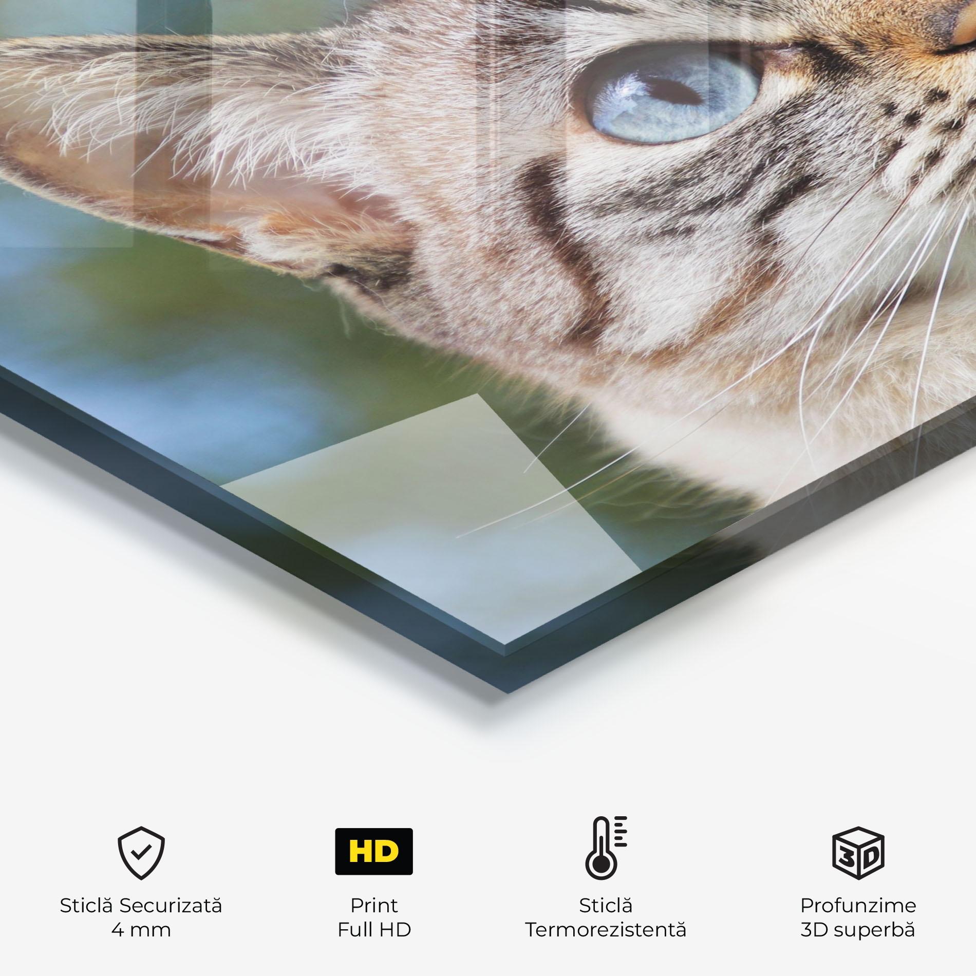 Panou Sticla Bucatarie Blue Eyes Cutie mockup 2