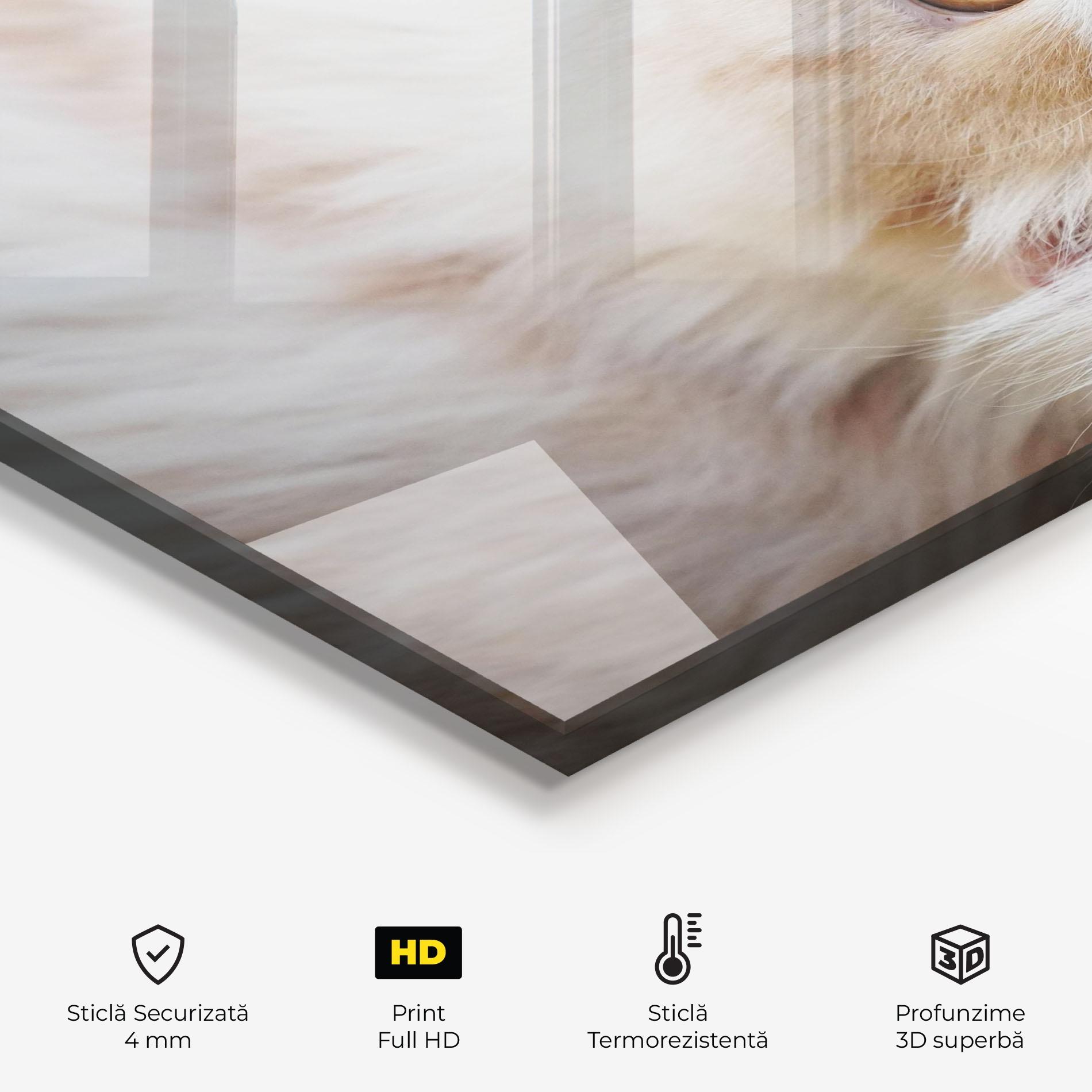Panou Sticla Bucatarie Close Up Yellow Eyes Cat mockup 2