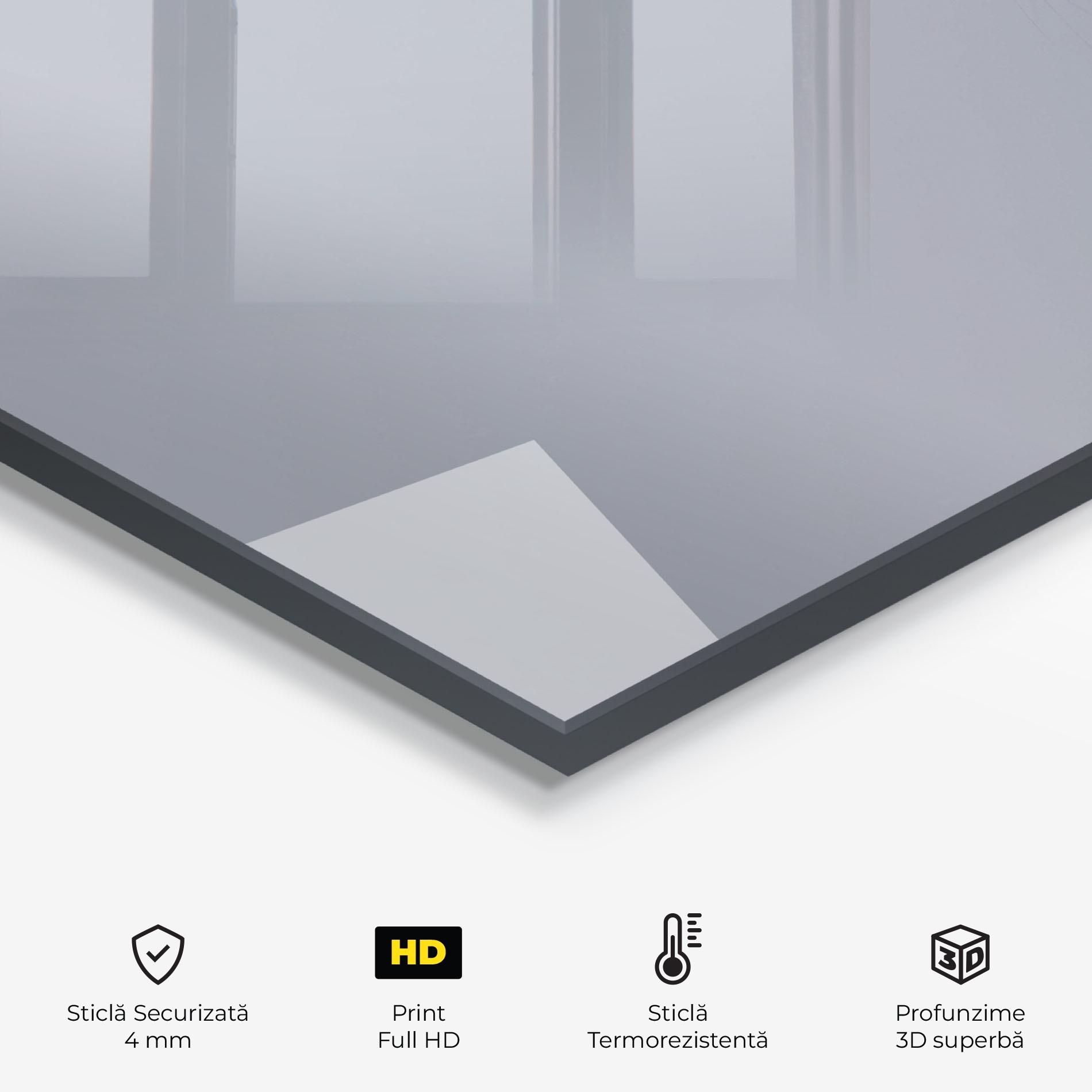 Panou Sticla Bucatarie Gray Kitty mockup 2