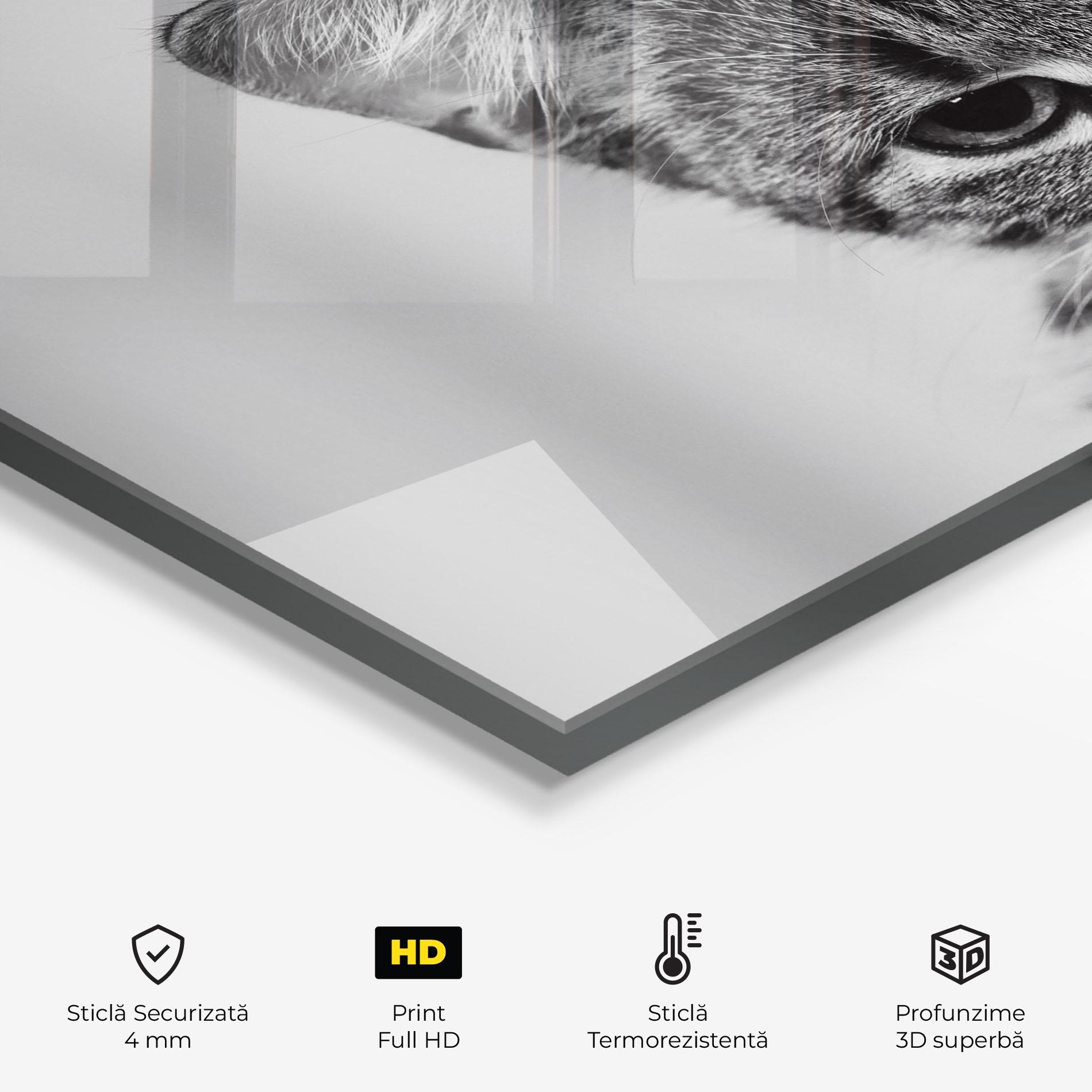 Panou Sticla Bucatarie Grey Focused Cat mockup 2