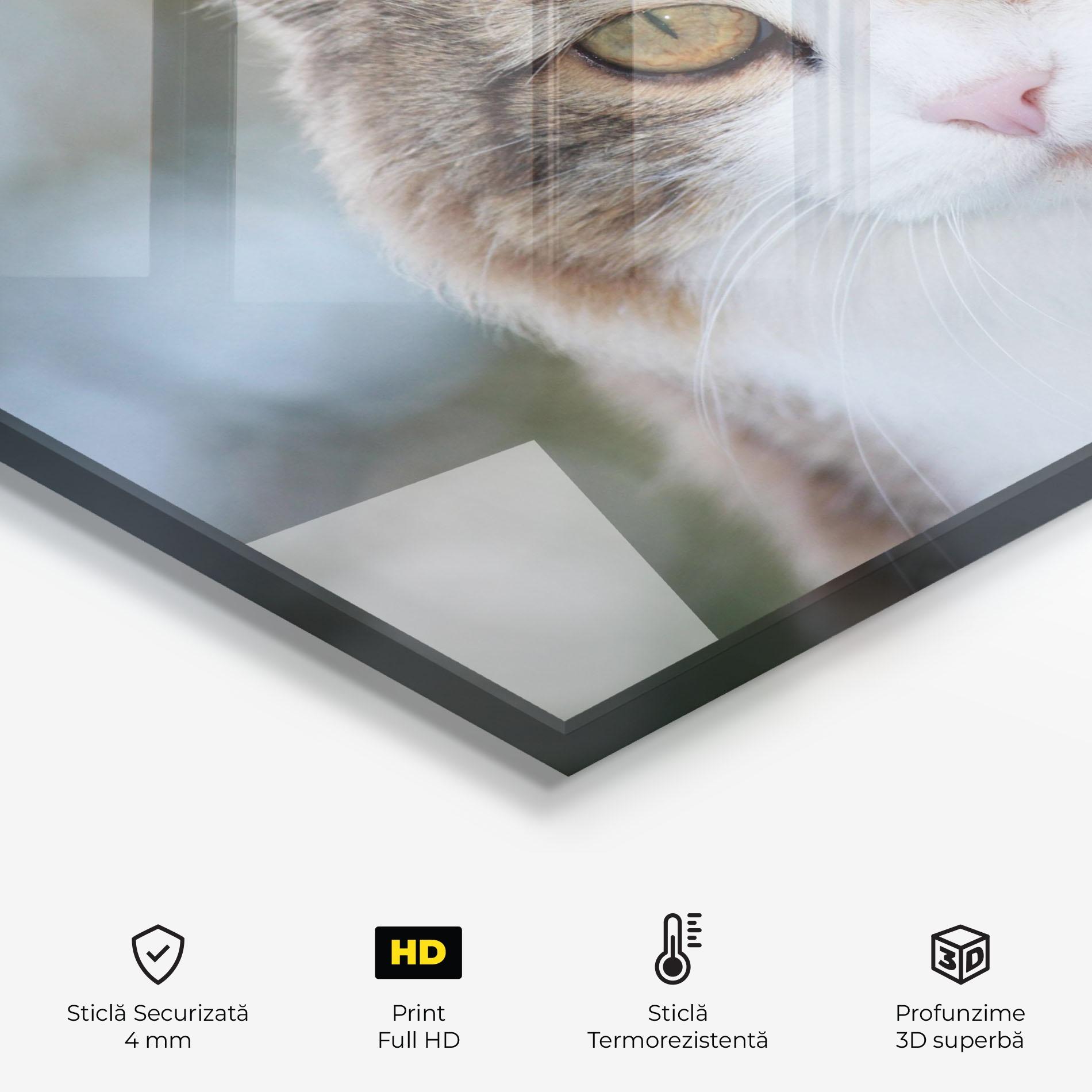 Panou Sticla Bucatarie Orange Brown Cat mockup 2