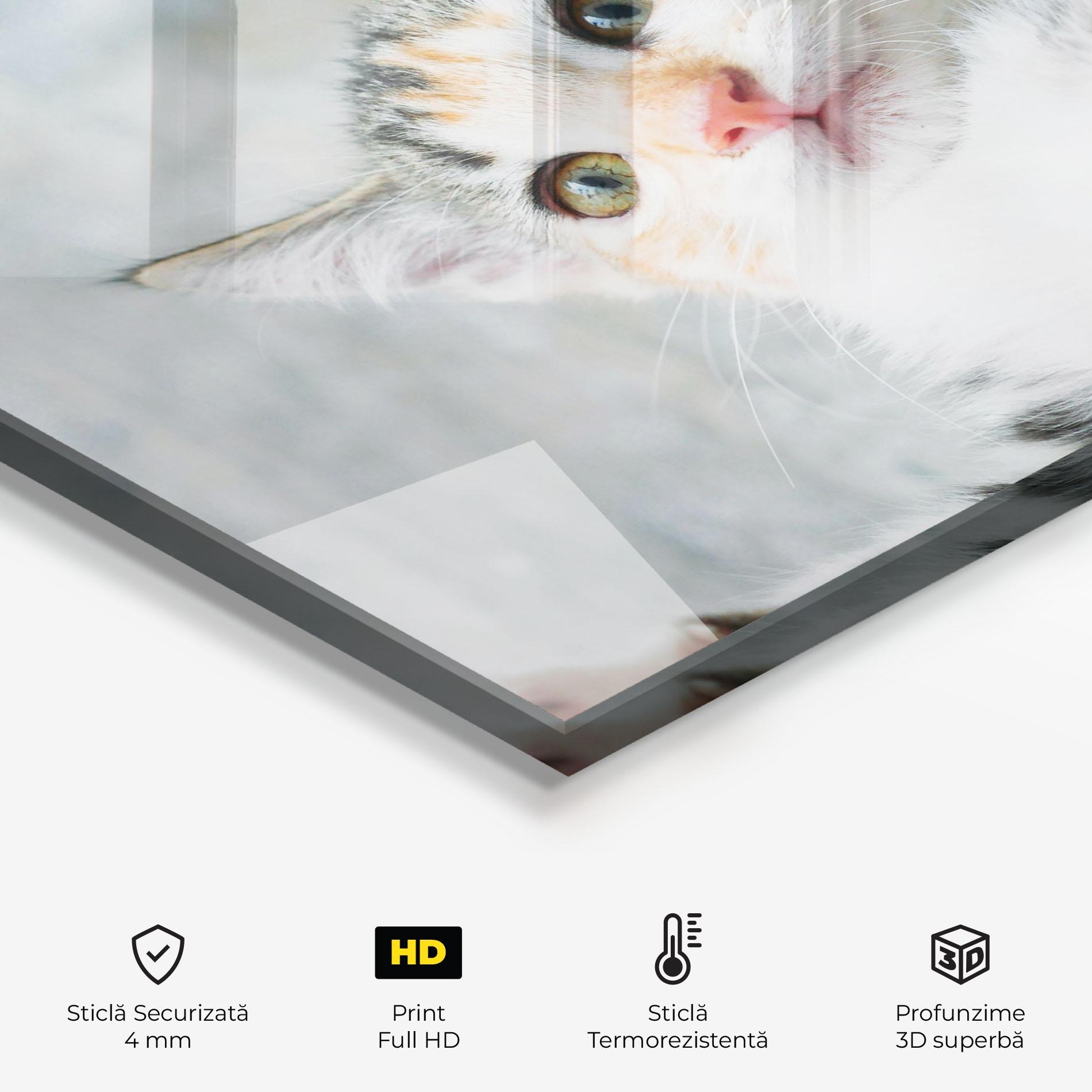 Panou Sticla Bucatarie Pretty Pink Nose Cat mockup 2