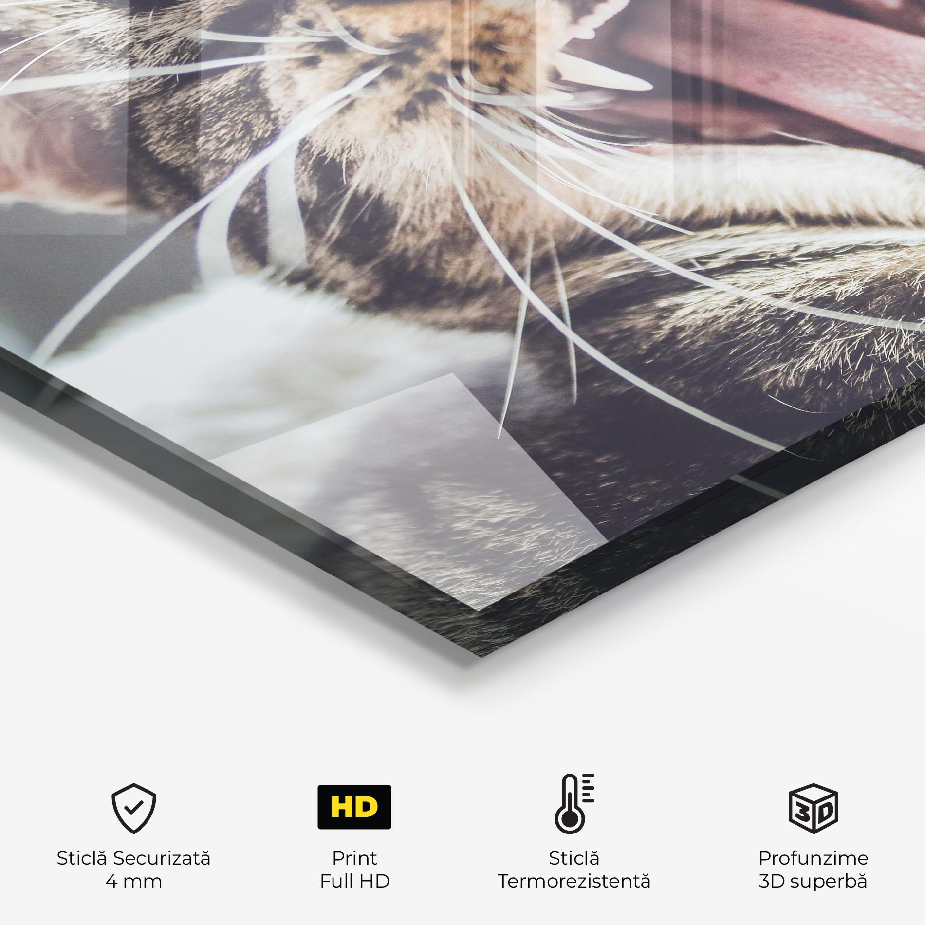 Panou Sticla Bucatarie Wroar Cat mockup 2