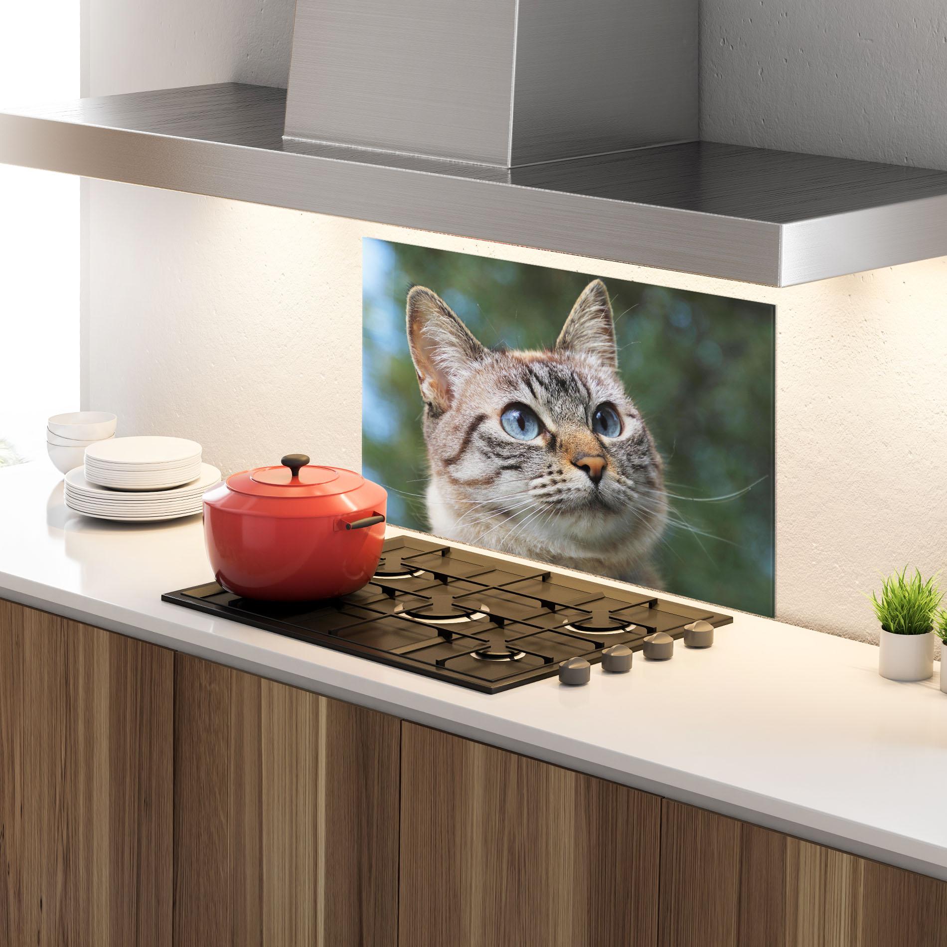 Panou Sticla Bucatarie Blue Eyes Cutie mockup 4