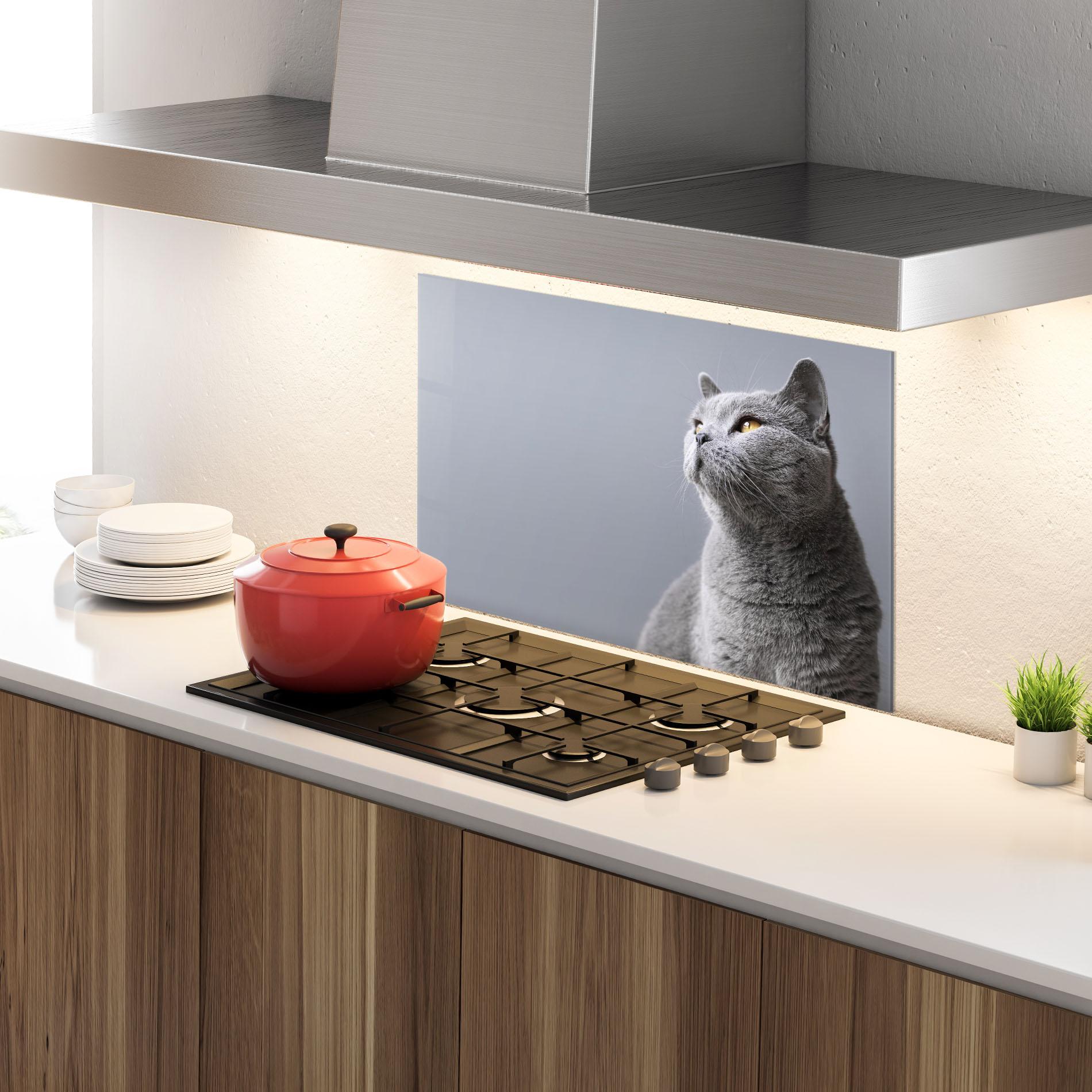 Panou Sticla Bucatarie Gray Kitty mockup 4