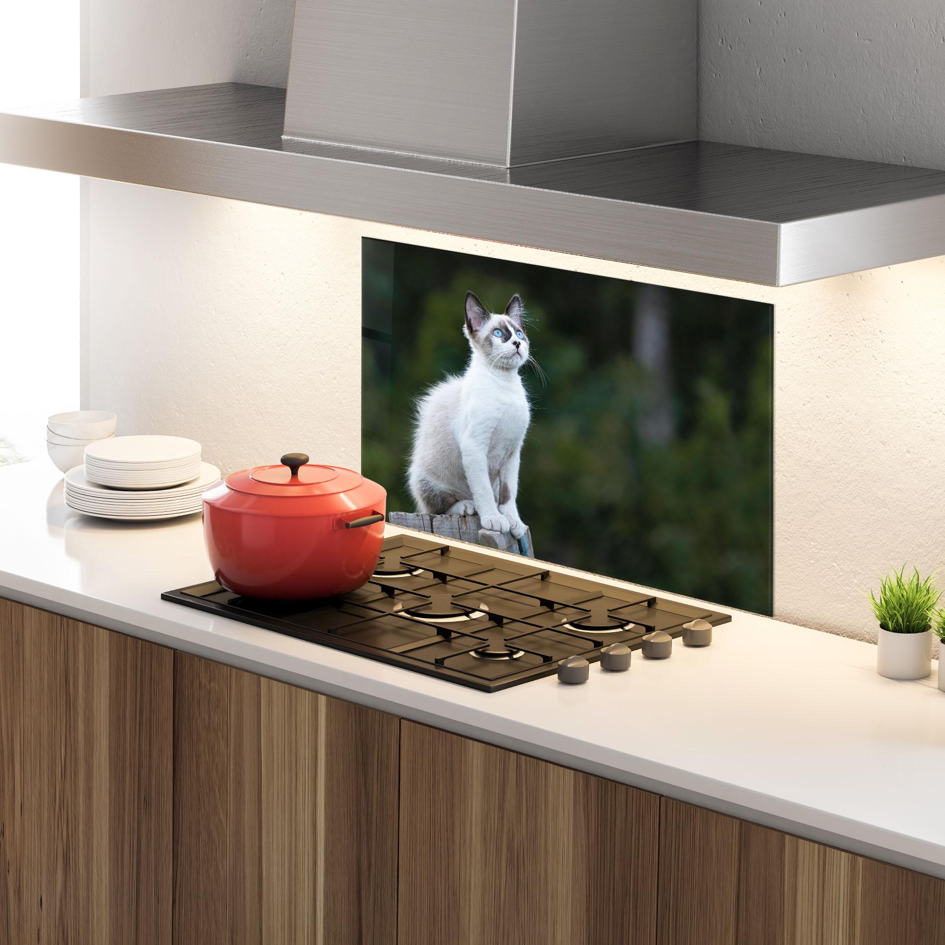 Panou Sticla Bucatarie Grey Cat In Nature mockup 4