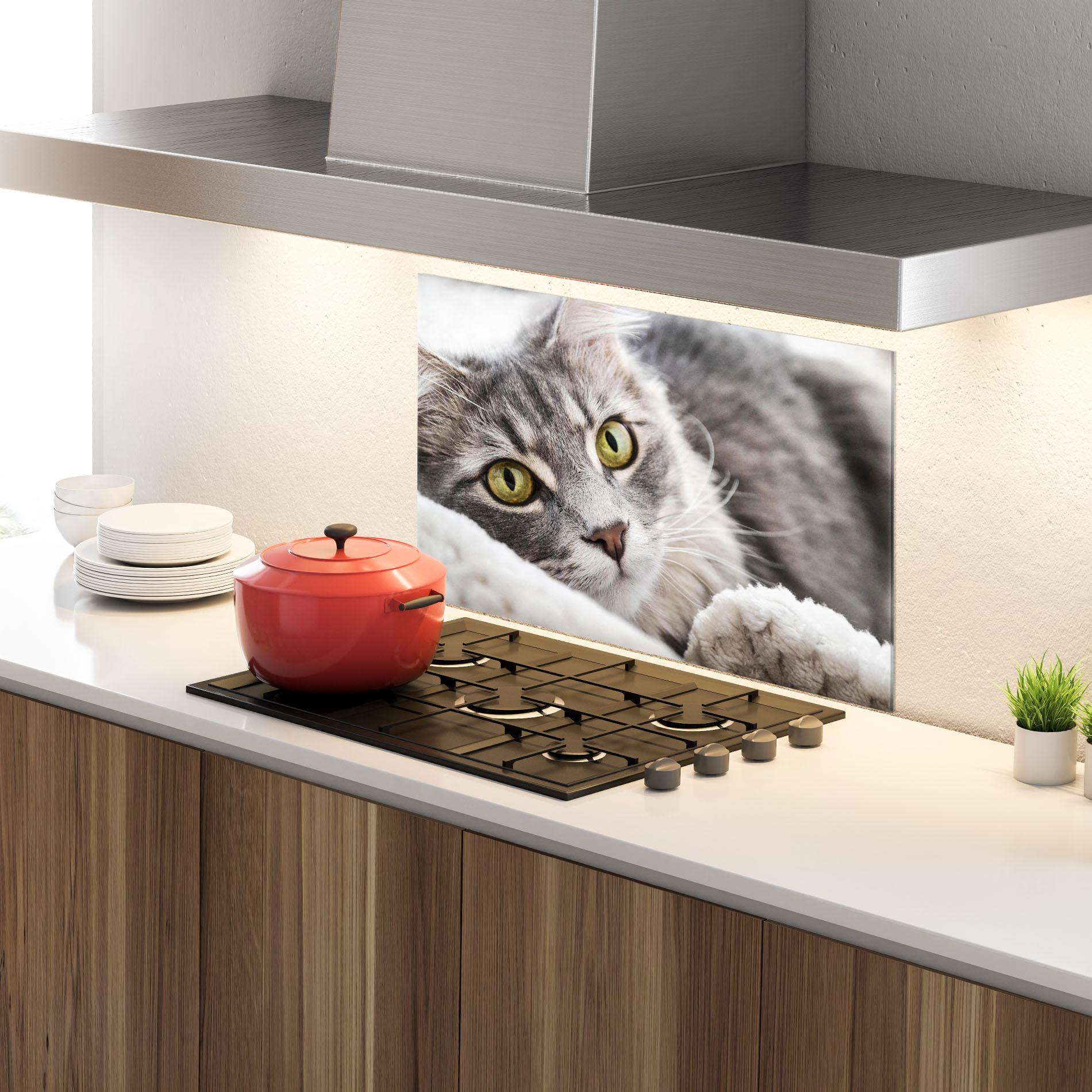 Panou Sticla Bucatarie Grey Fluffy Cat mockup 4
