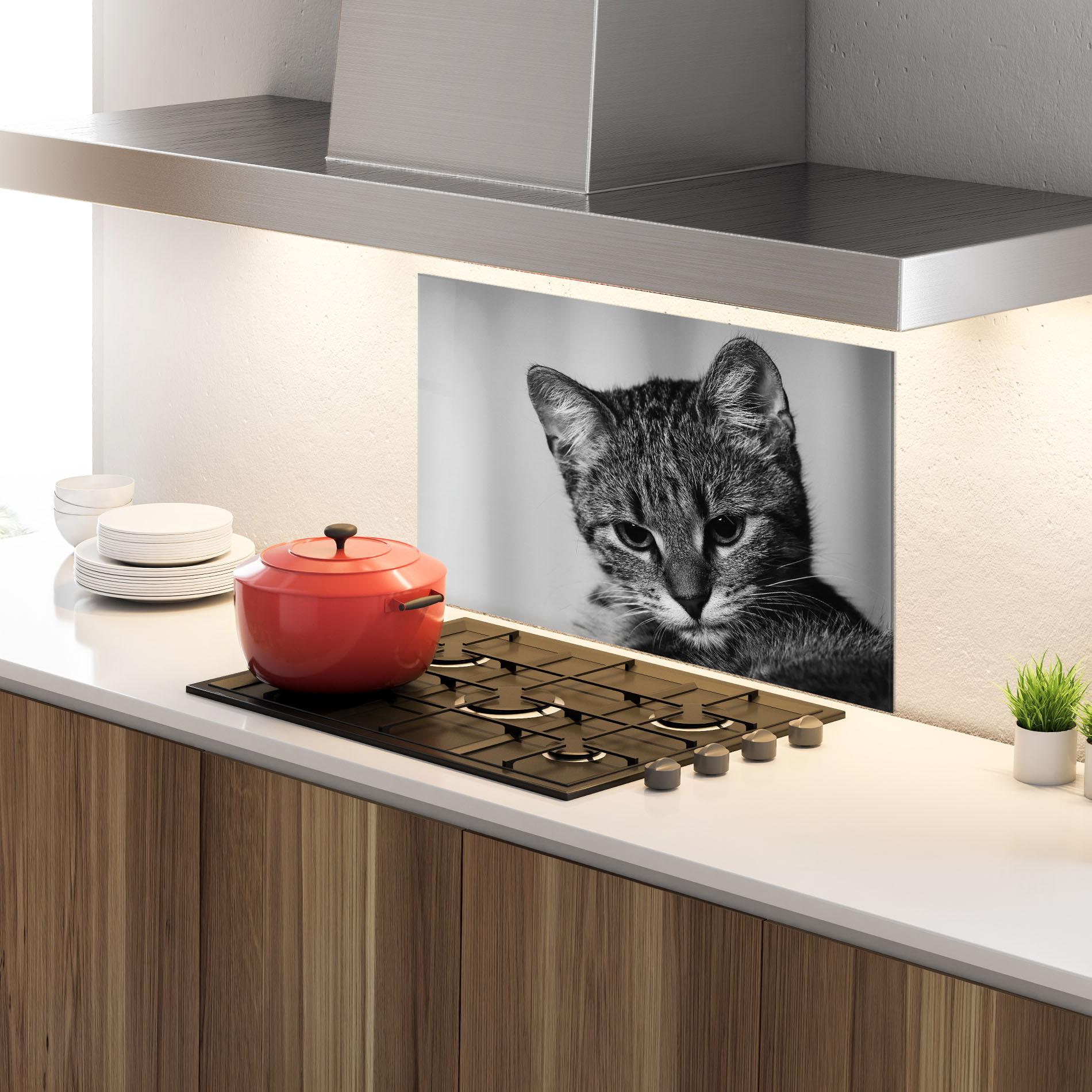Panou Sticla Bucatarie Grey Focused Cat mockup 4