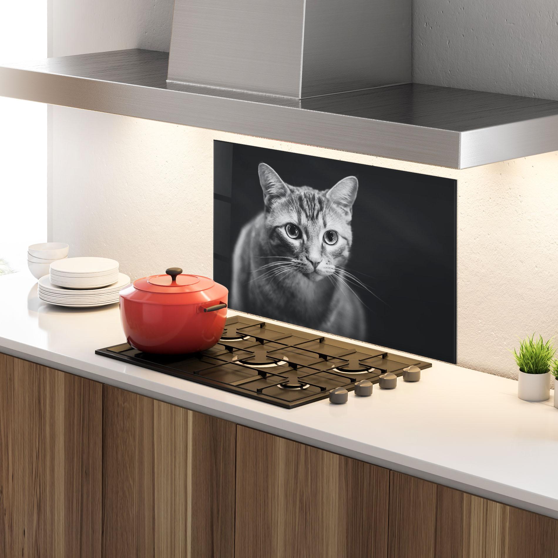 Panou Sticla Bucatarie Grey Kitty On Black mockup 4