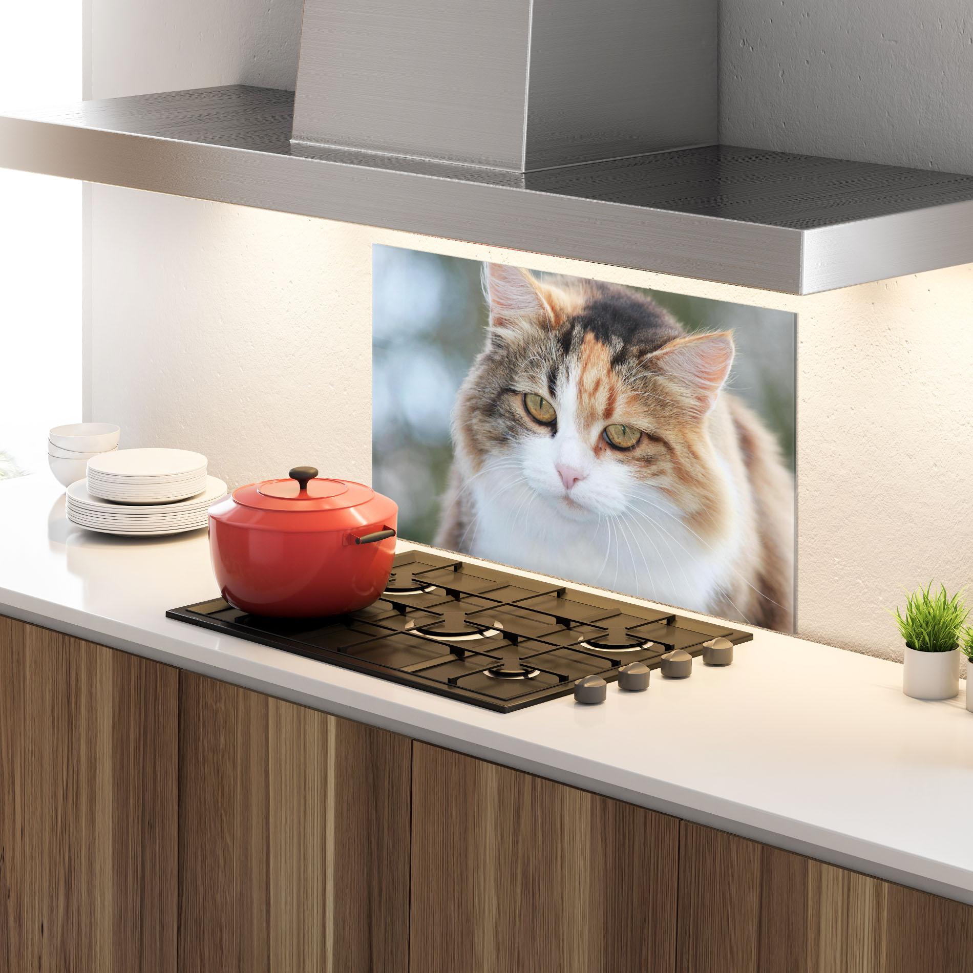 Panou Sticla Bucatarie Orange Brown Cat mockup 4