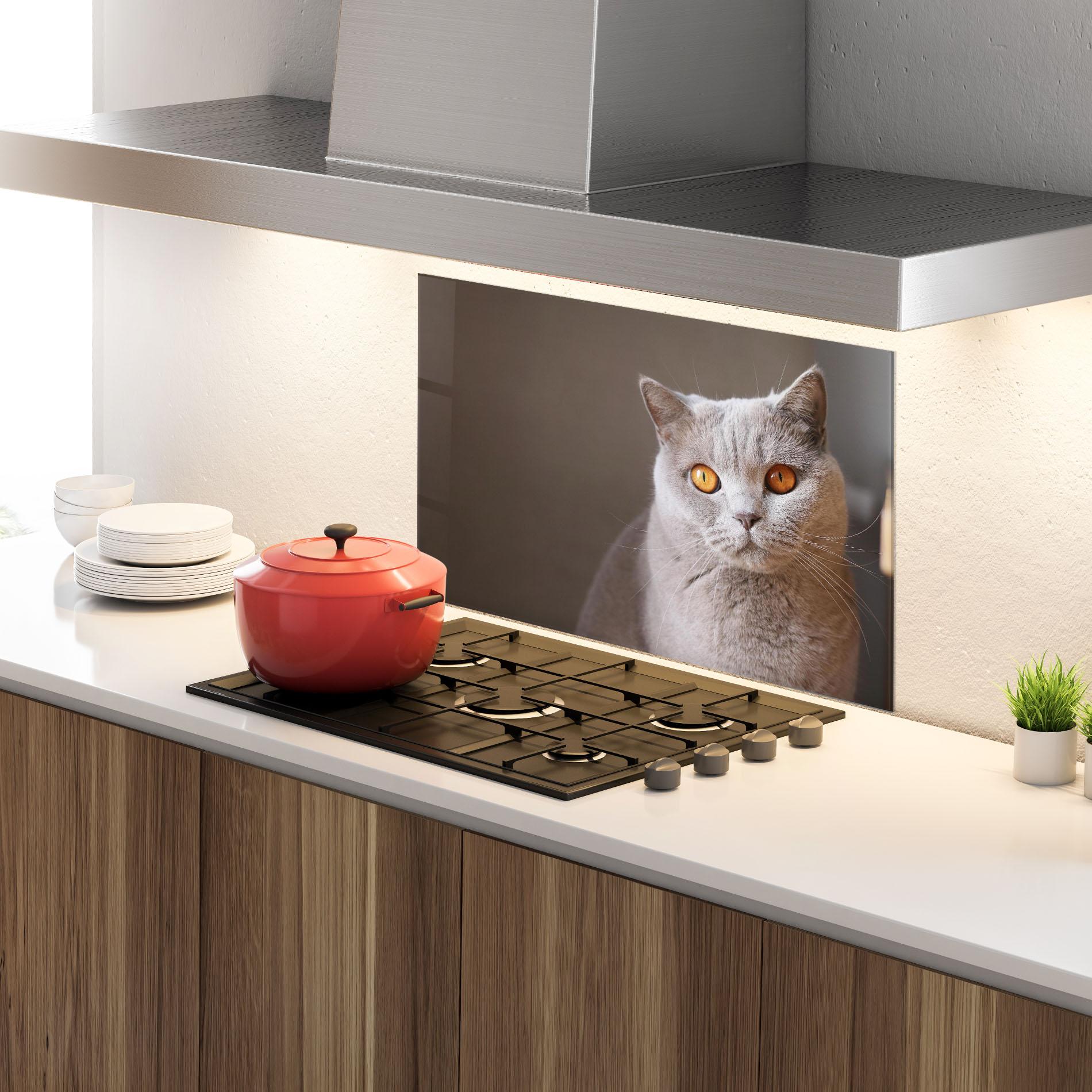 Panou Sticla Bucatarie Orange Eyes Cat mockup 4