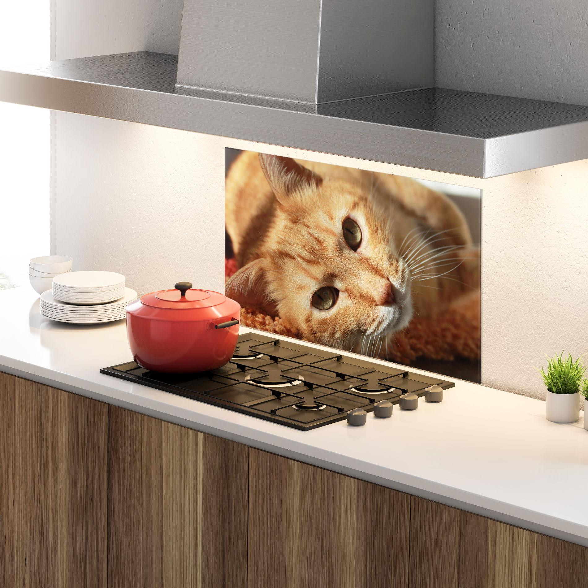 Panou Sticla Bucatarie Pretty Orange Cat mockup 4