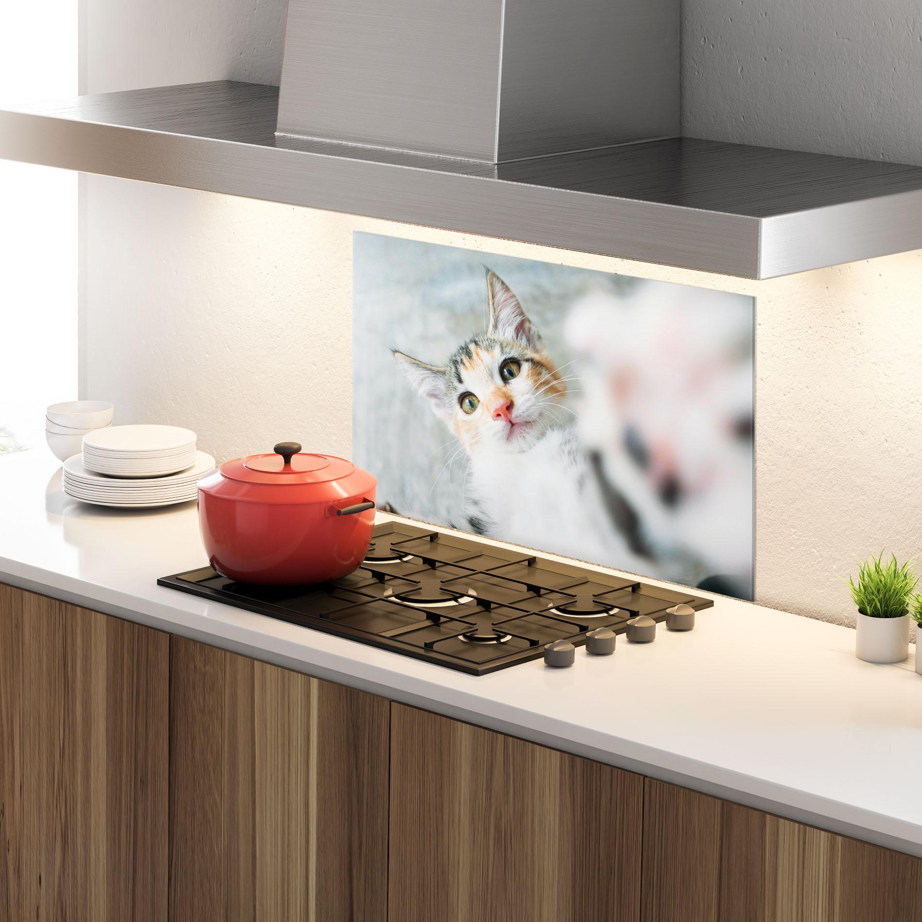 Panou Sticla Bucatarie Pretty Pink Nose Cat mockup 4