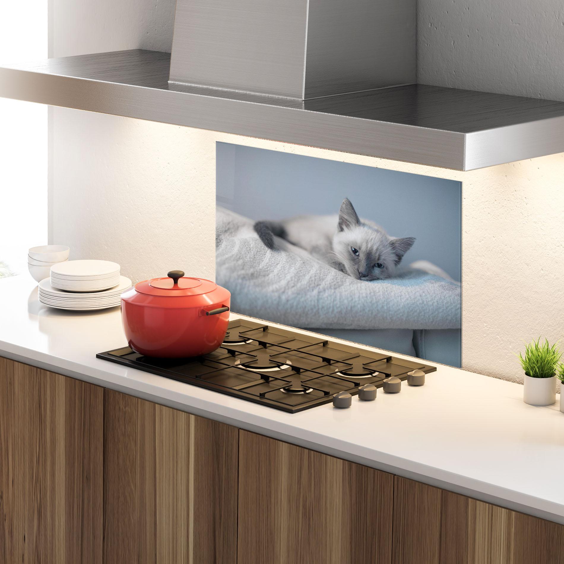 Panou Sticla Bucatarie Sleepy Grey Cat mockup 4