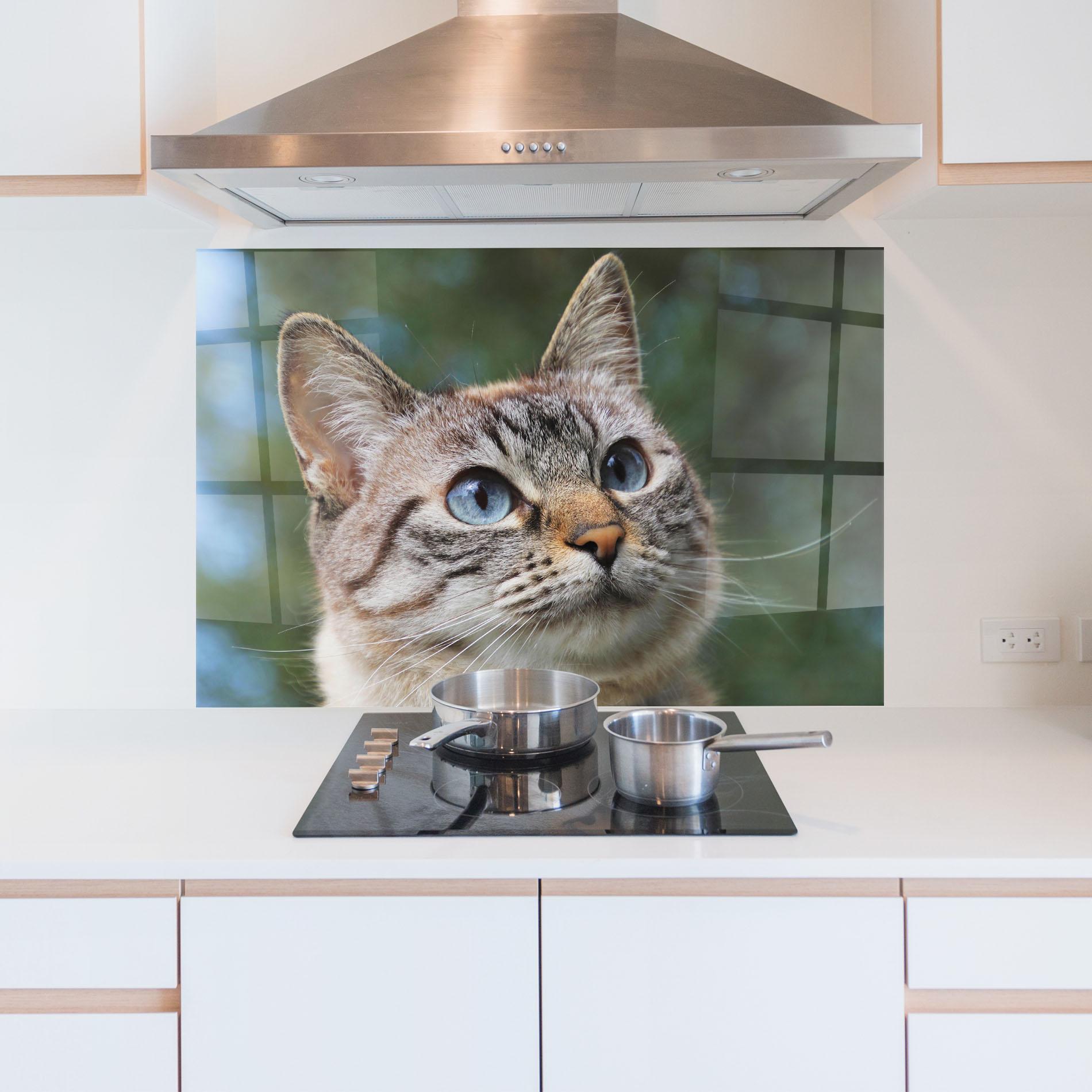 Panou Sticla Bucatarie Blue Eyes Cutie mockup 5