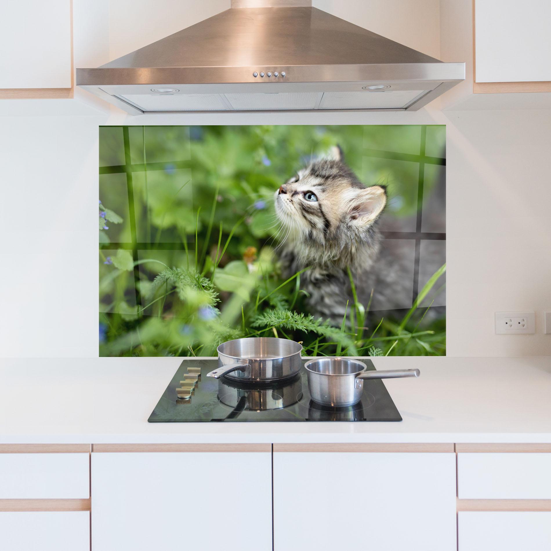 Panou Sticla Bucatarie Brown Baby Cat mockup 5