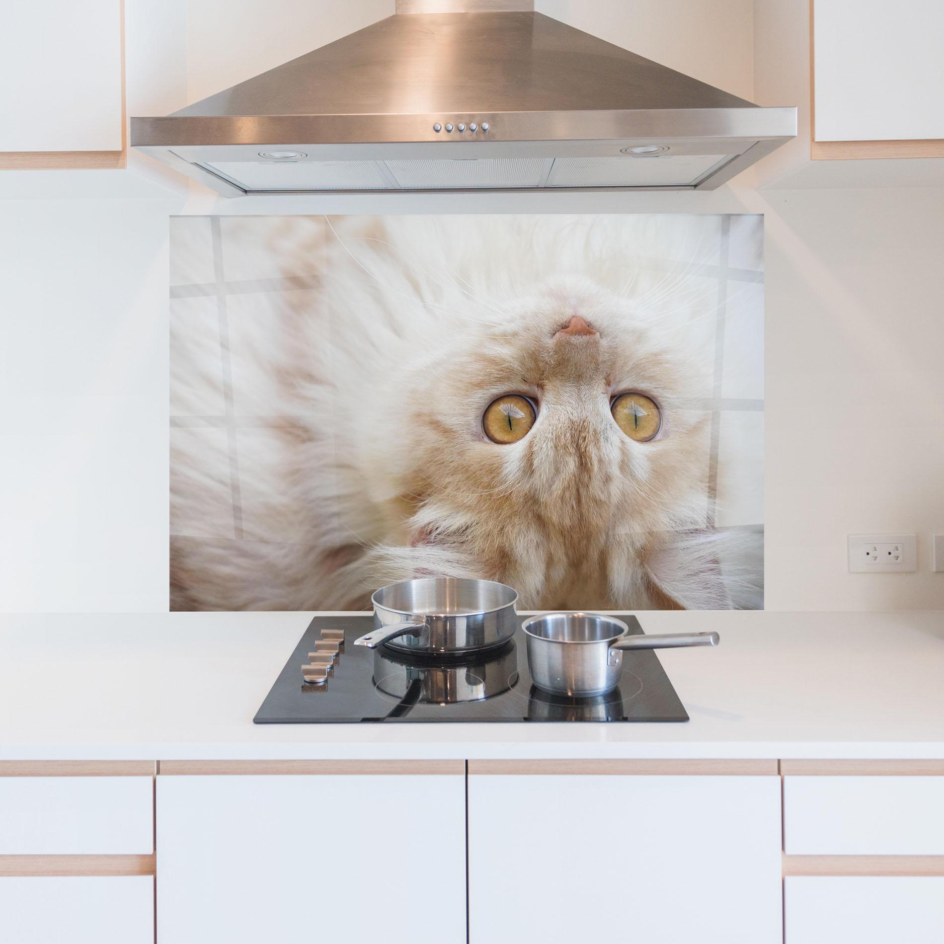 Panou Sticla Bucatarie Close Up Yellow Eyes Cat mockup 5