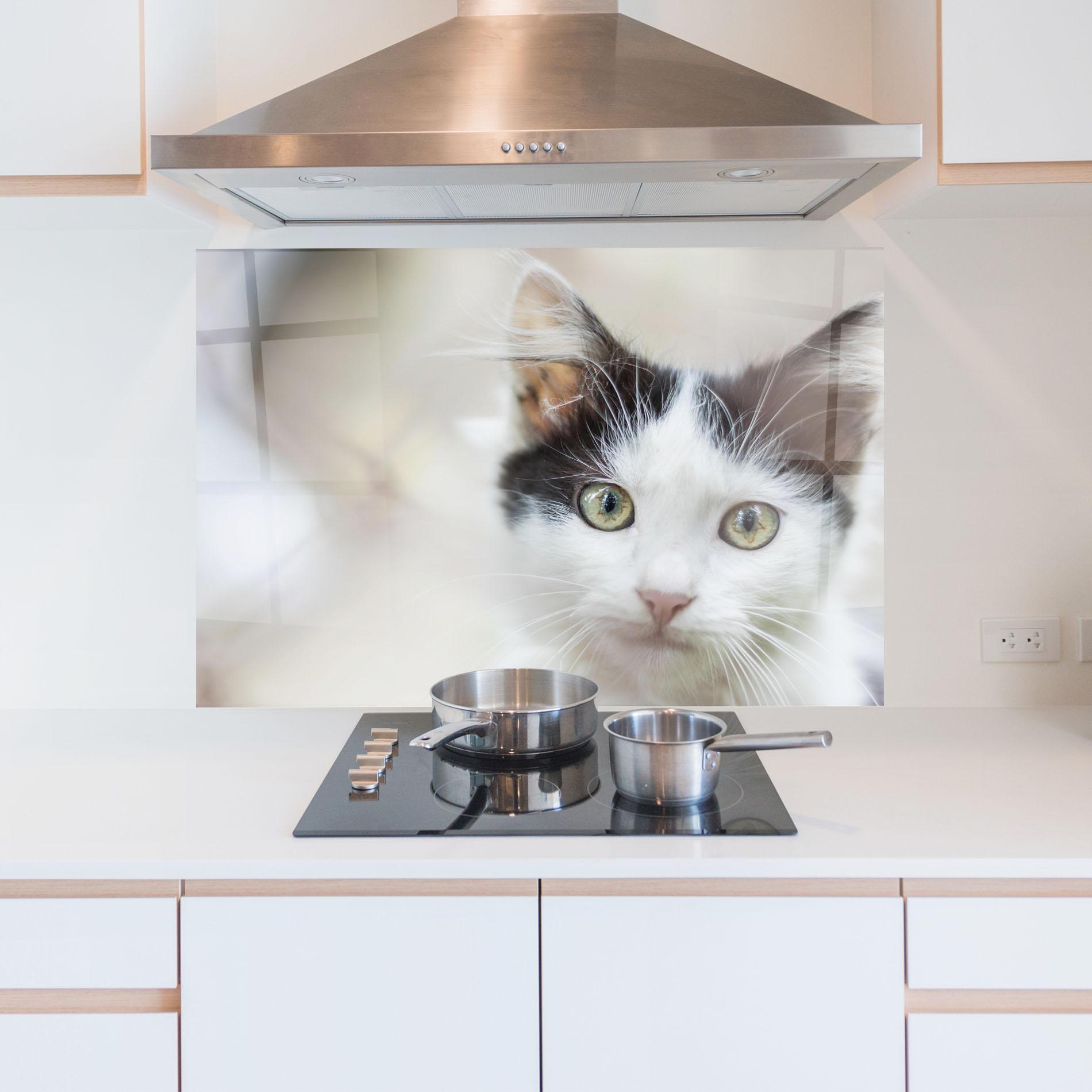 Panou Sticla Bucatarie Cutie Cat mockup 5