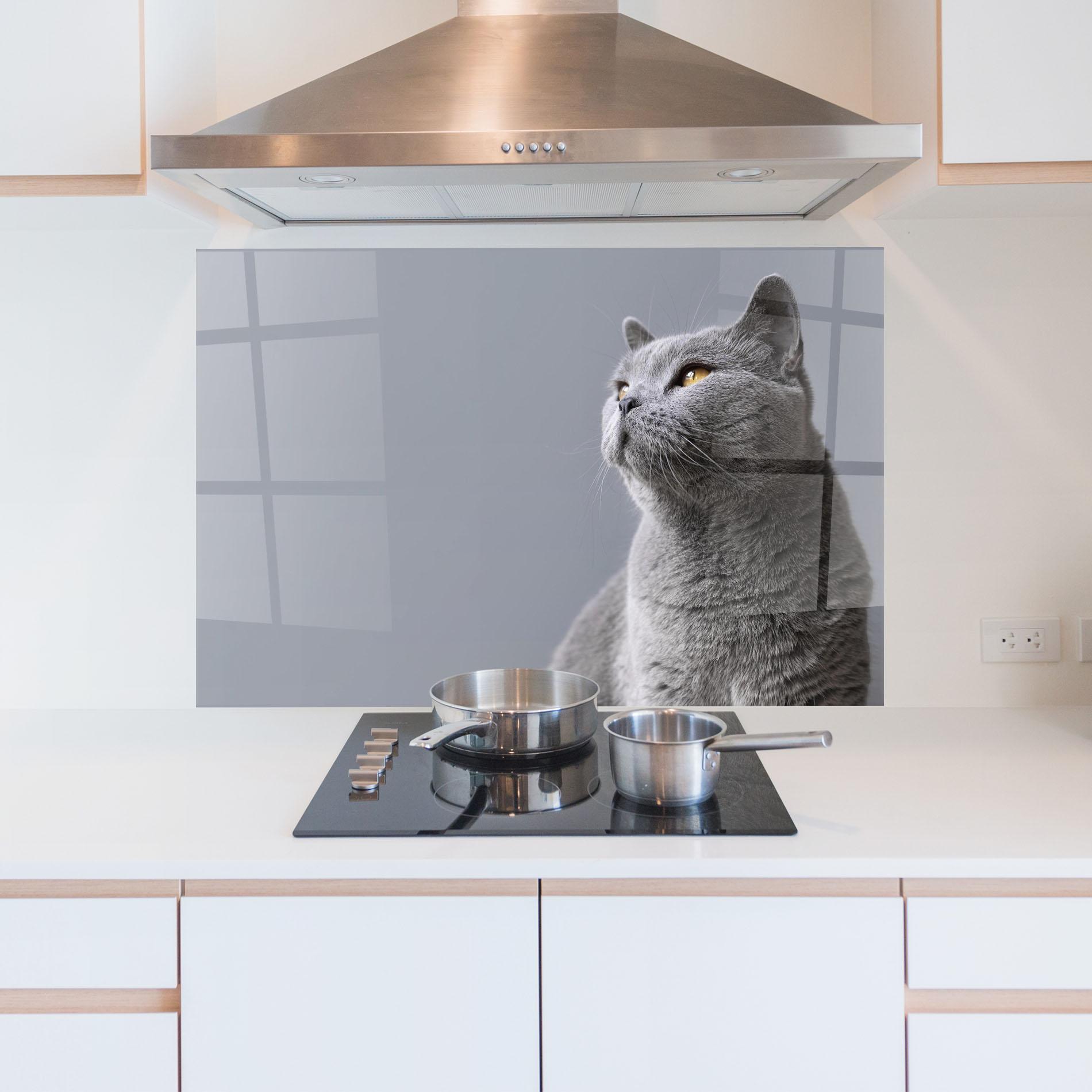 Panou Sticla Bucatarie Gray Kitty mockup 5
