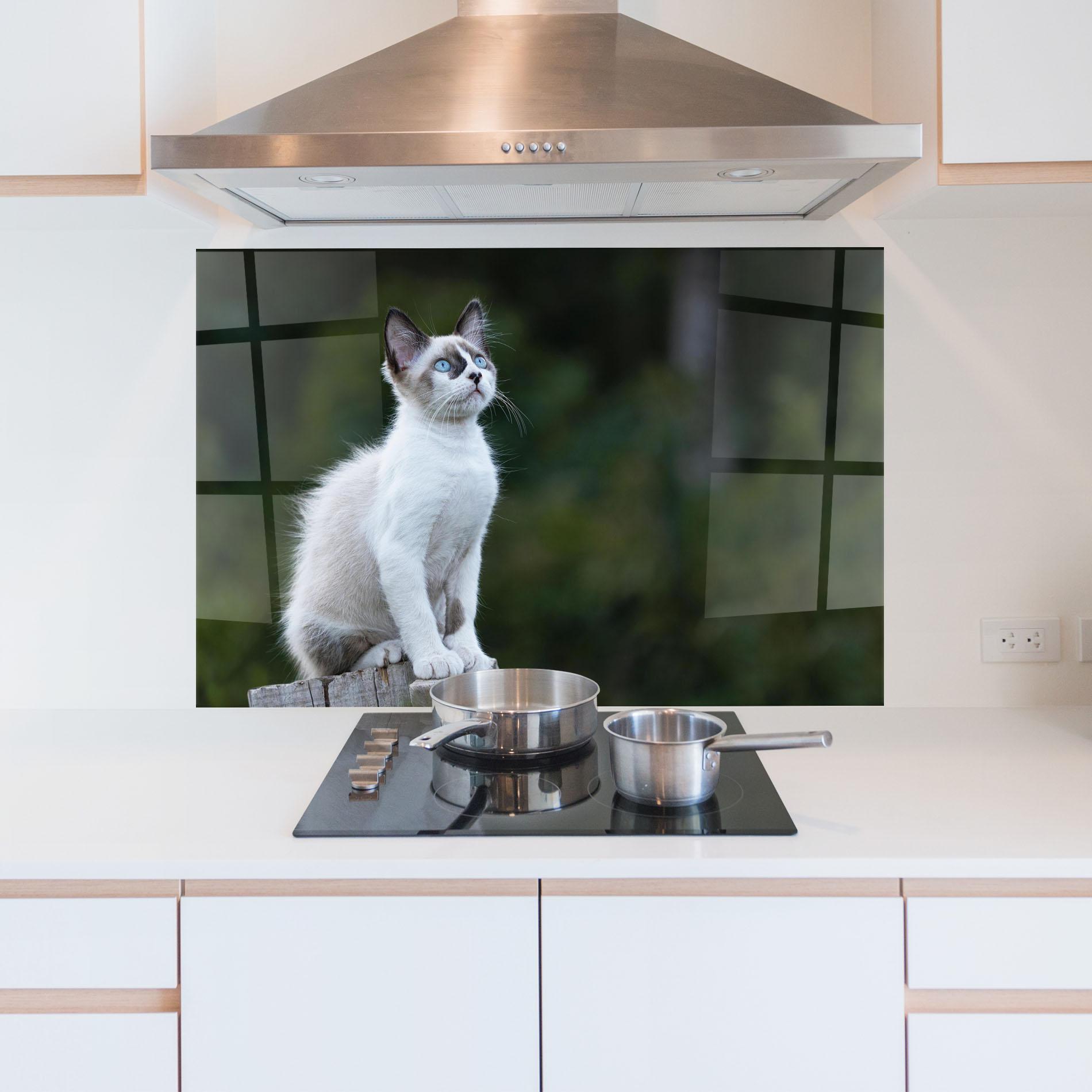 Panou Sticla Bucatarie Grey Cat In Nature mockup 5