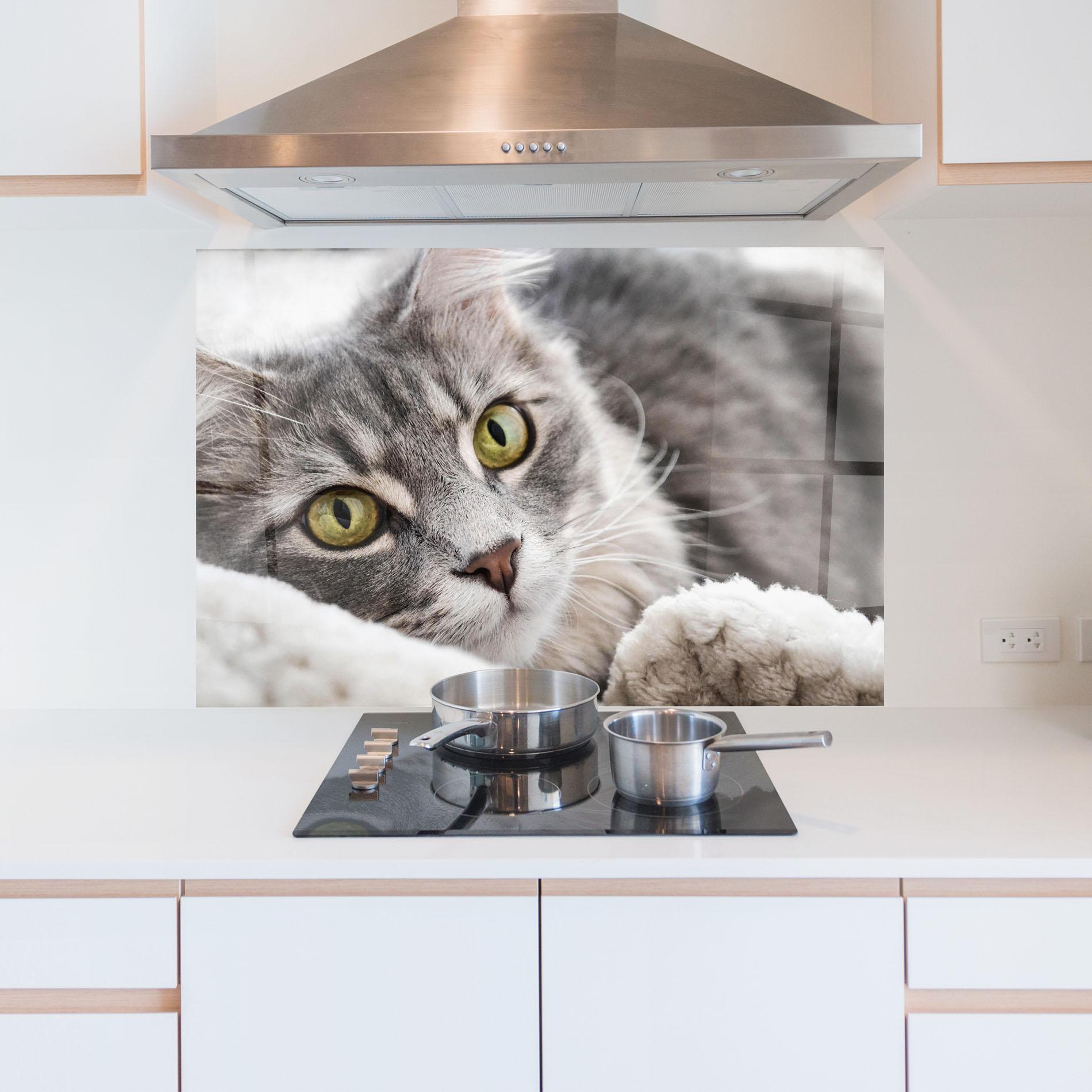 Panou Sticla Bucatarie Grey Fluffy Cat mockup 5