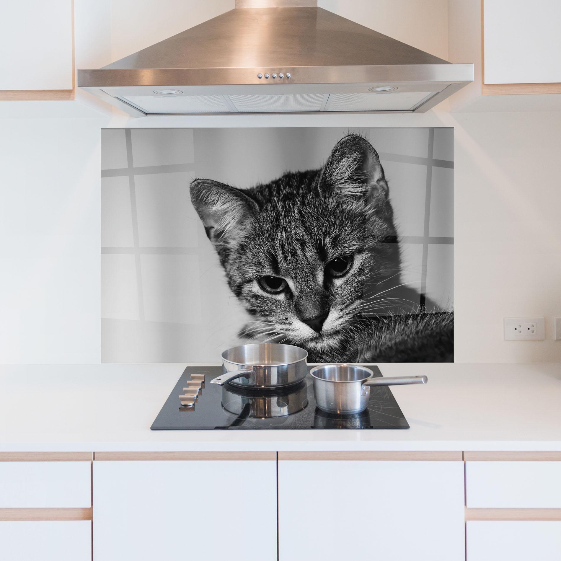 Panou Sticla Bucatarie Grey Focused Cat mockup 5