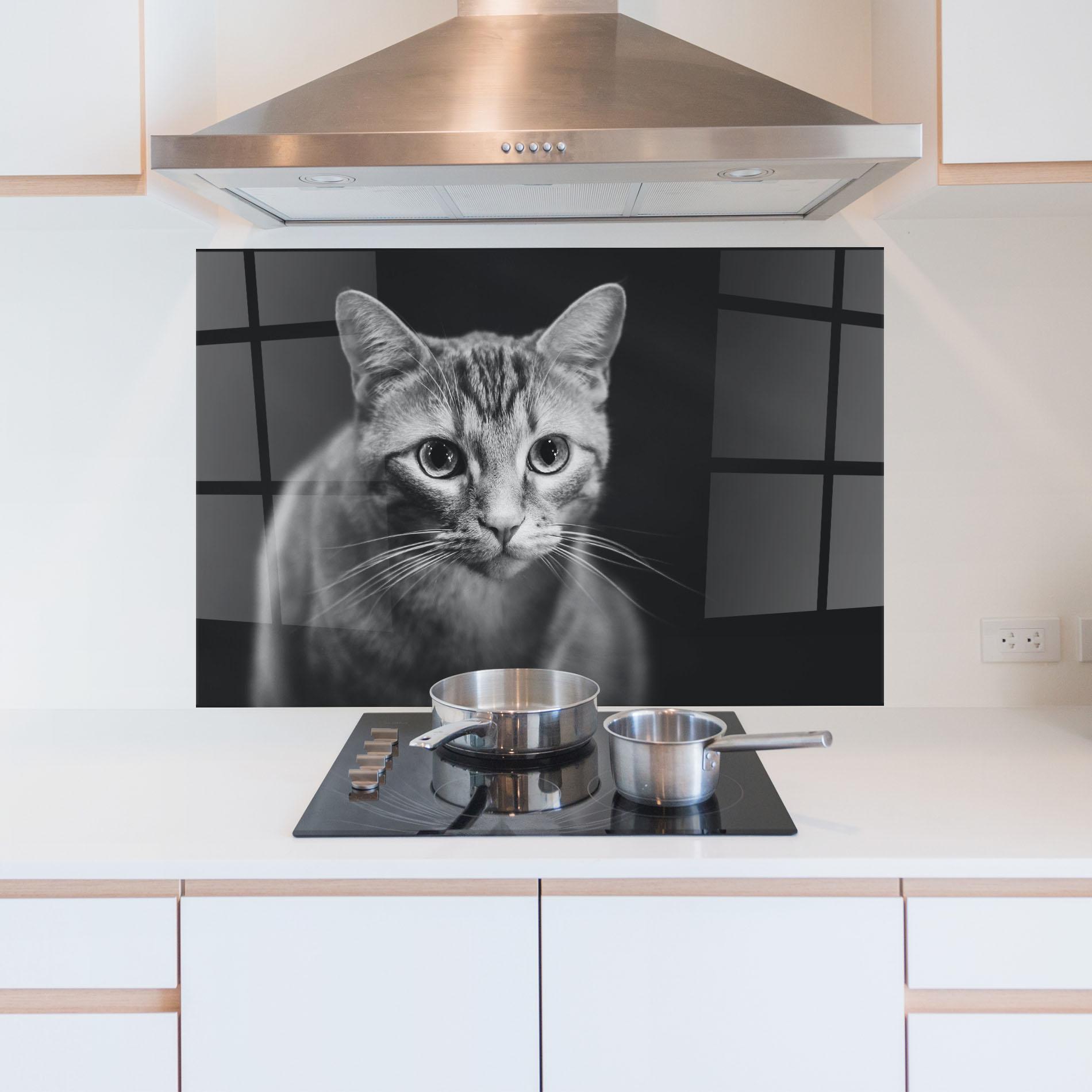 Panou Sticla Bucatarie Grey Kitty On Black mockup 5