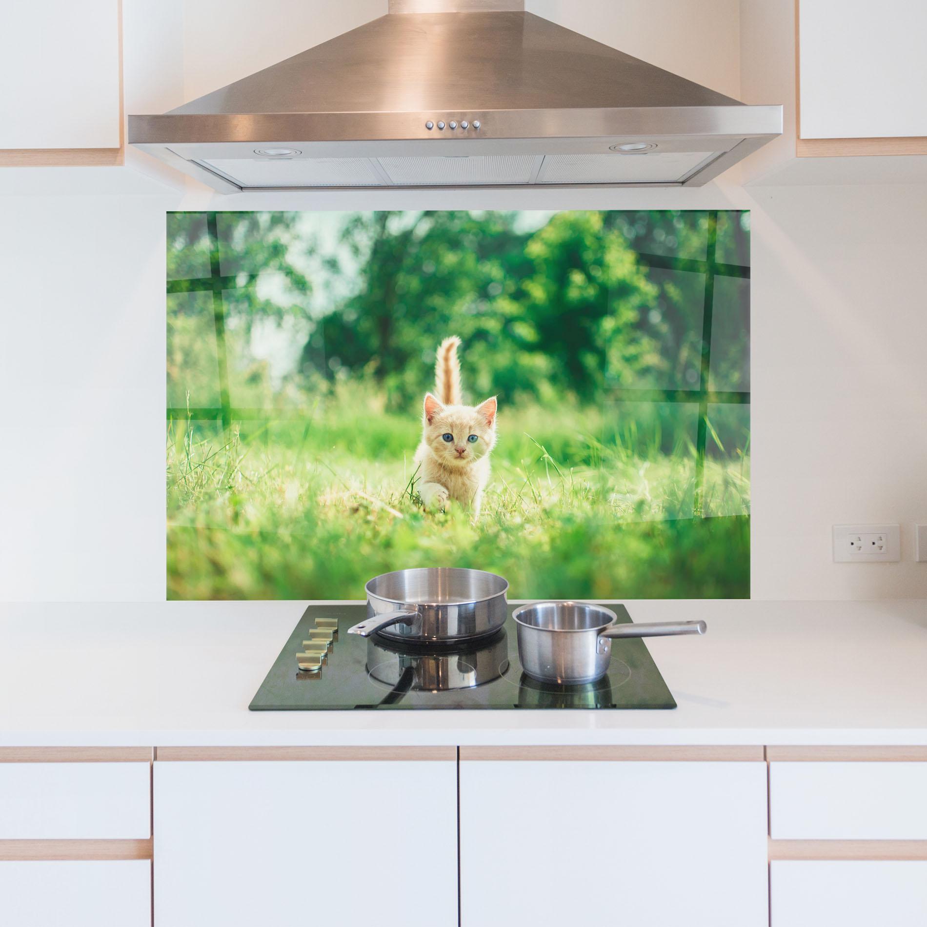 Panou Sticla Bucatarie Little Cute Cat mockup 5