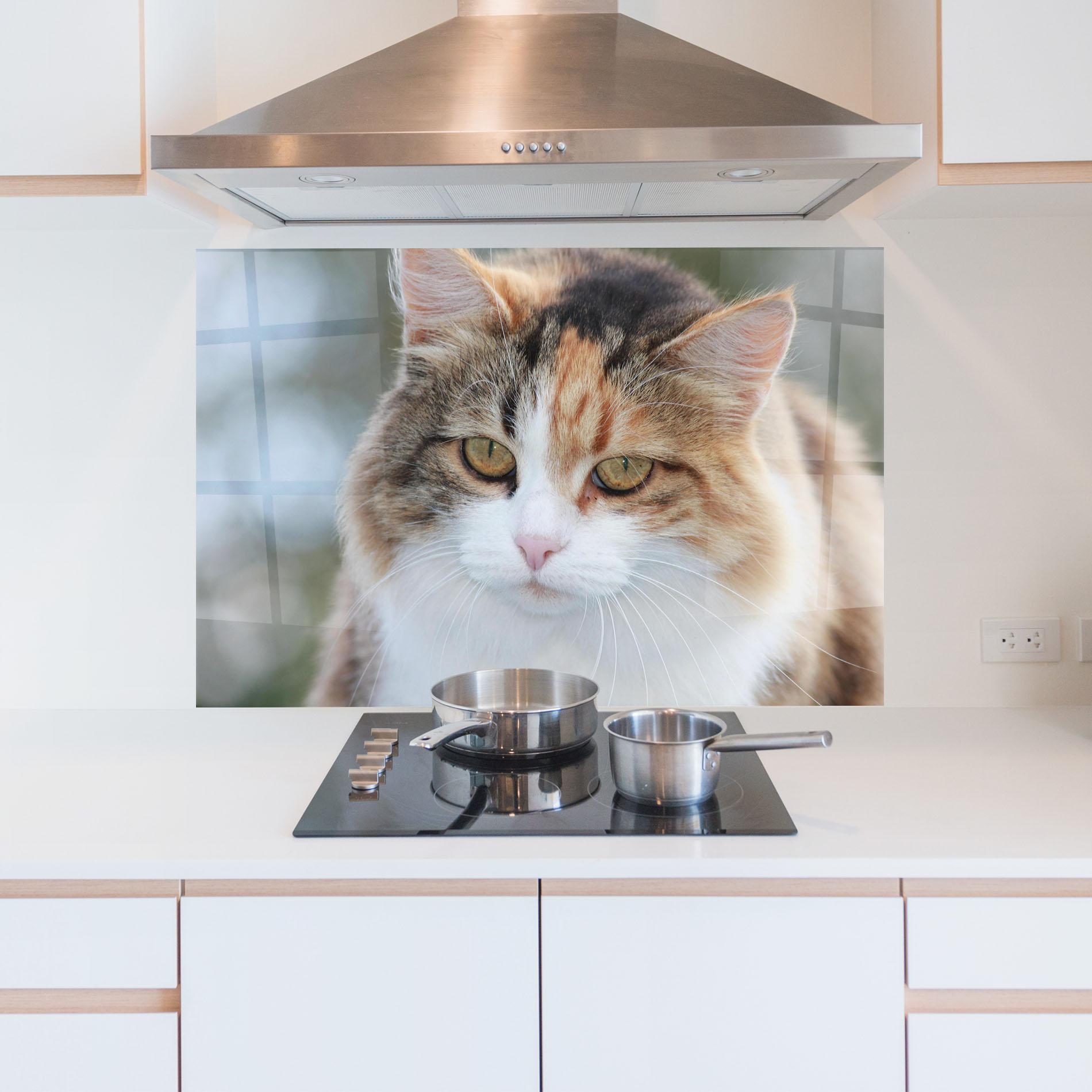Panou Sticla Bucatarie Orange Brown Cat mockup 5