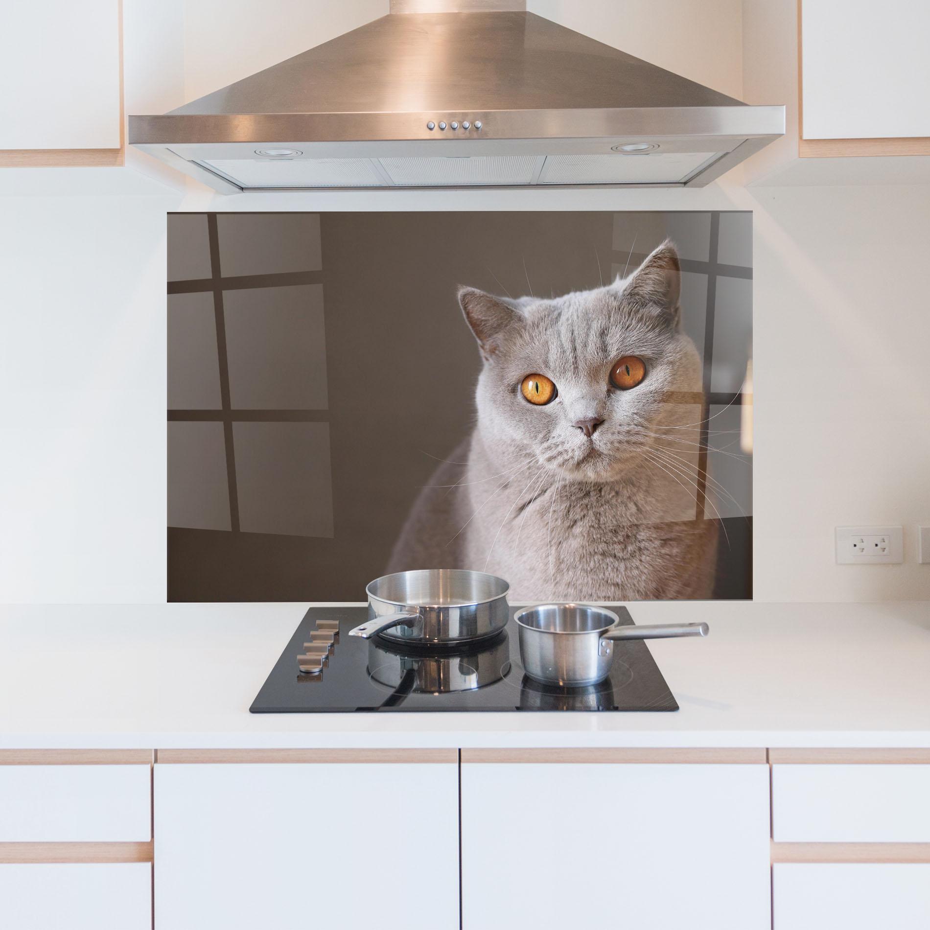 Panou Sticla Bucatarie Orange Eyes Cat mockup 5