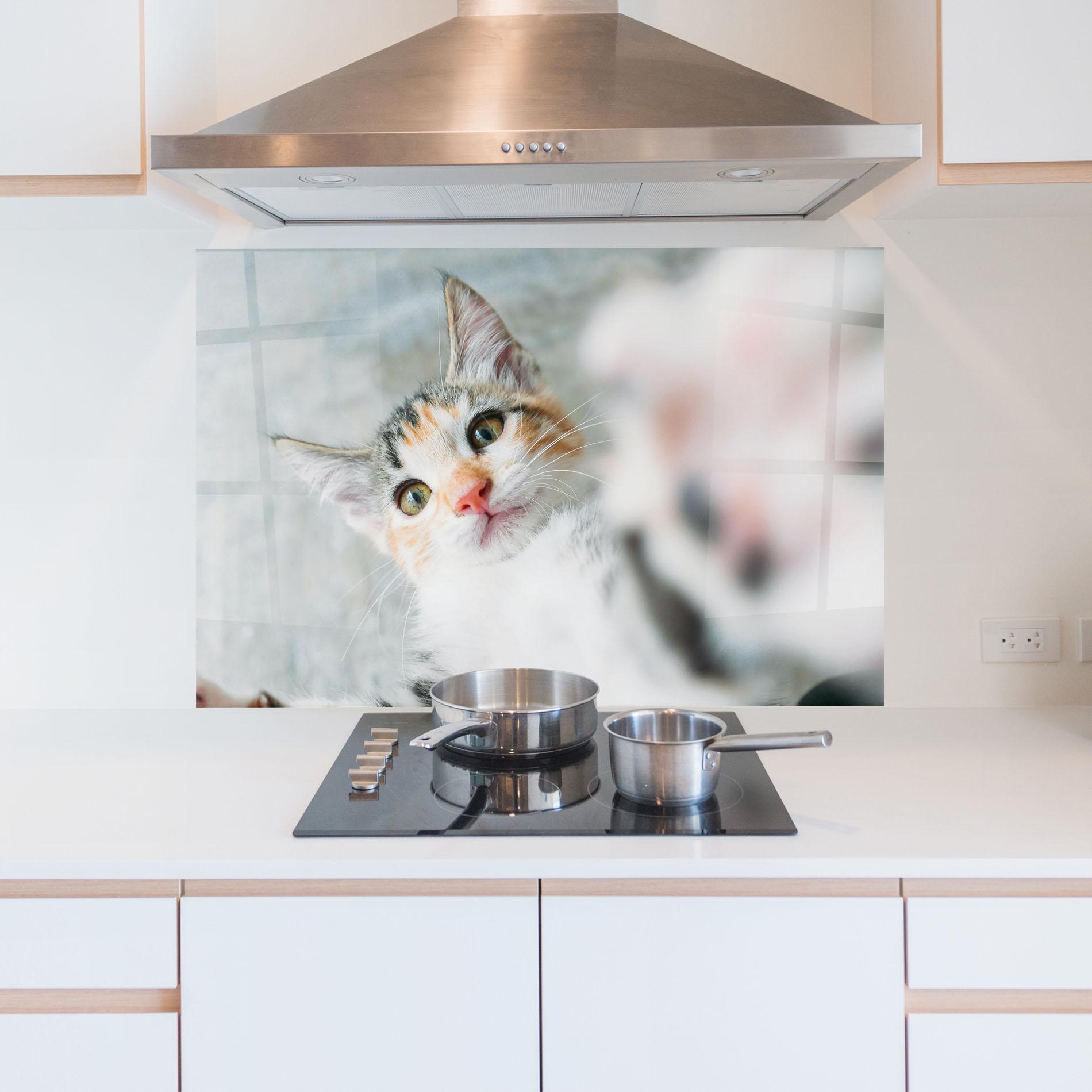 Panou Sticla Bucatarie Pretty Pink Nose Cat mockup 5