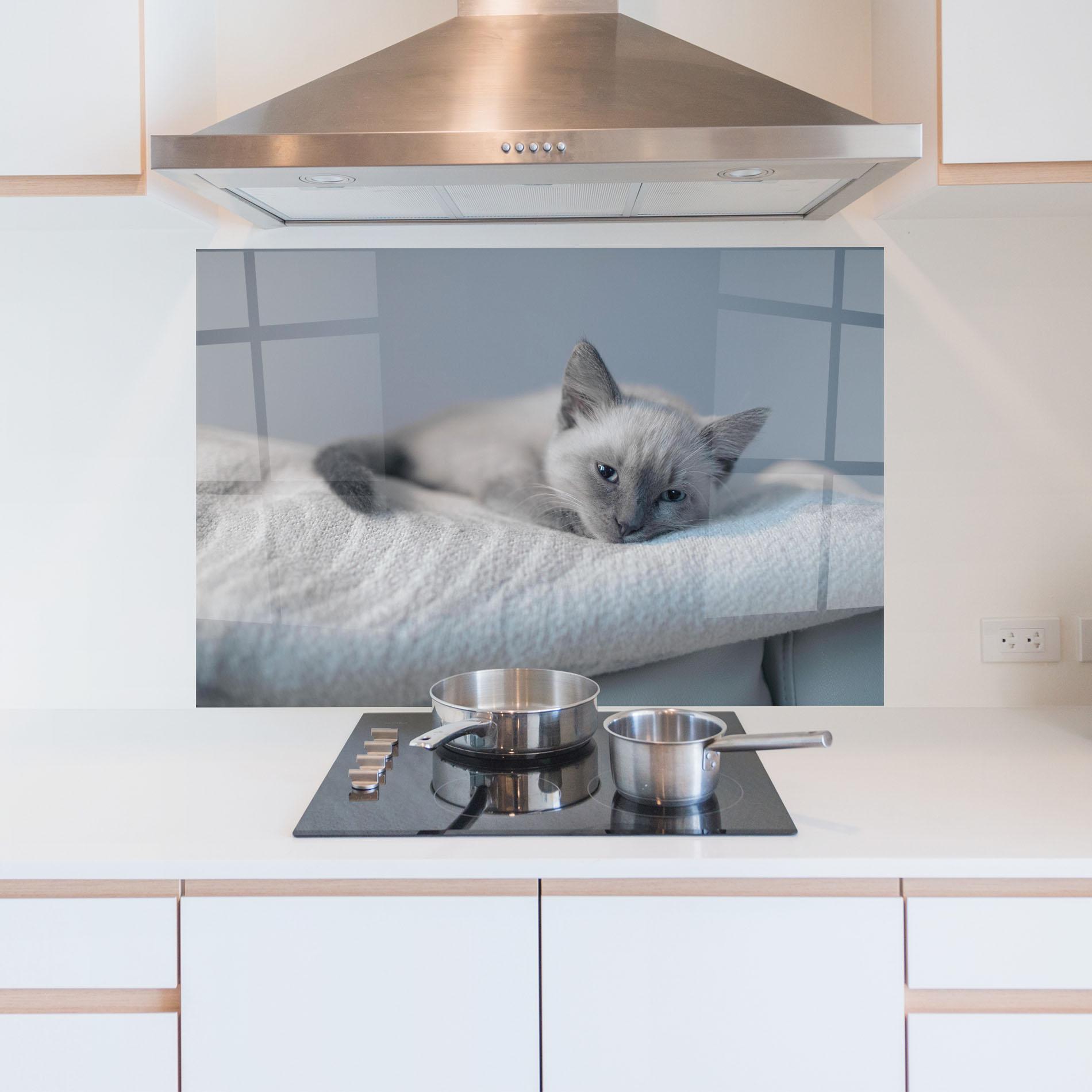 Panou Sticla Bucatarie Sleepy Grey Cat mockup 5
