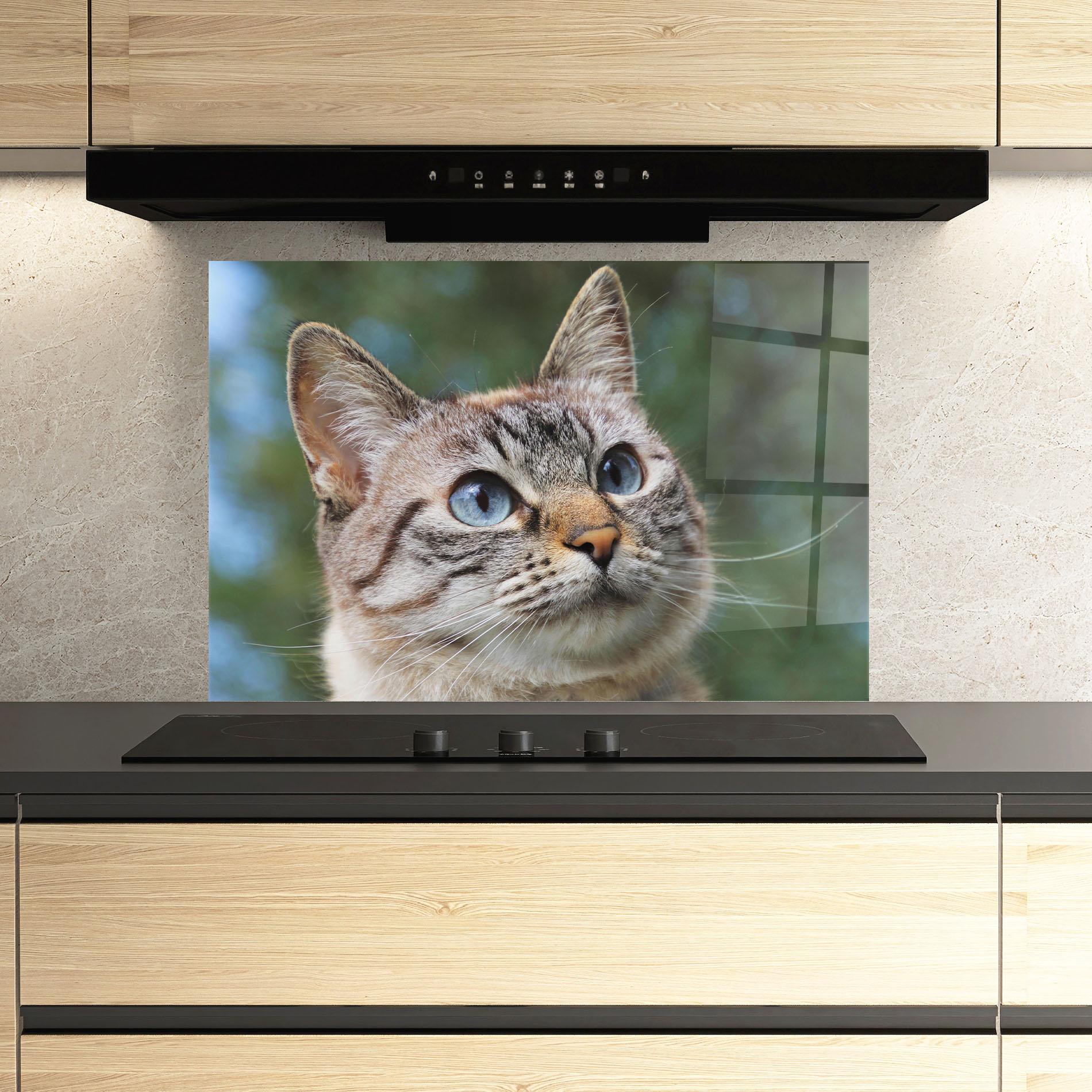 Panou Sticla Bucatarie Blue Eyes Cutie mockup 3