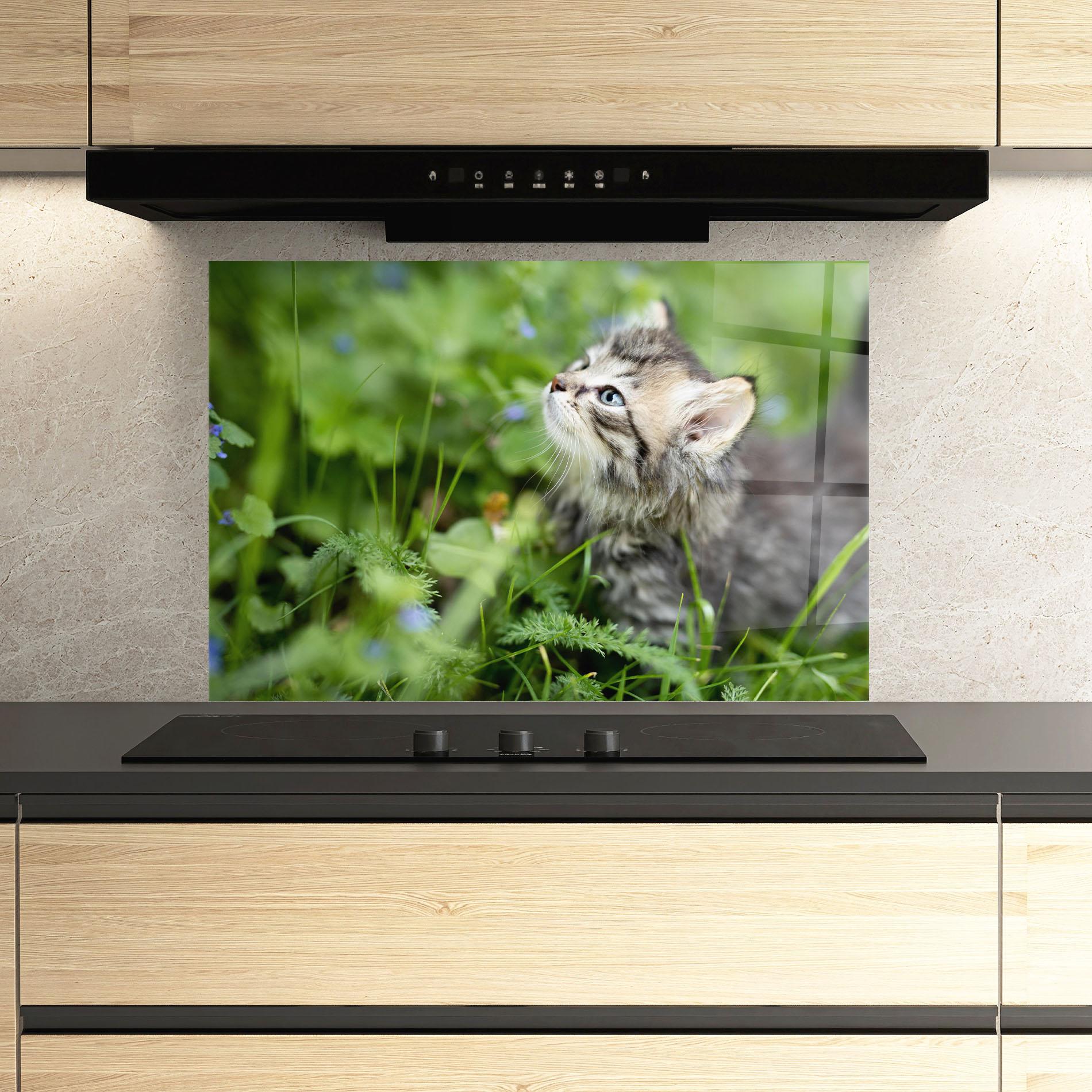 Panou Sticla Bucatarie Brown Baby Cat mockup 3